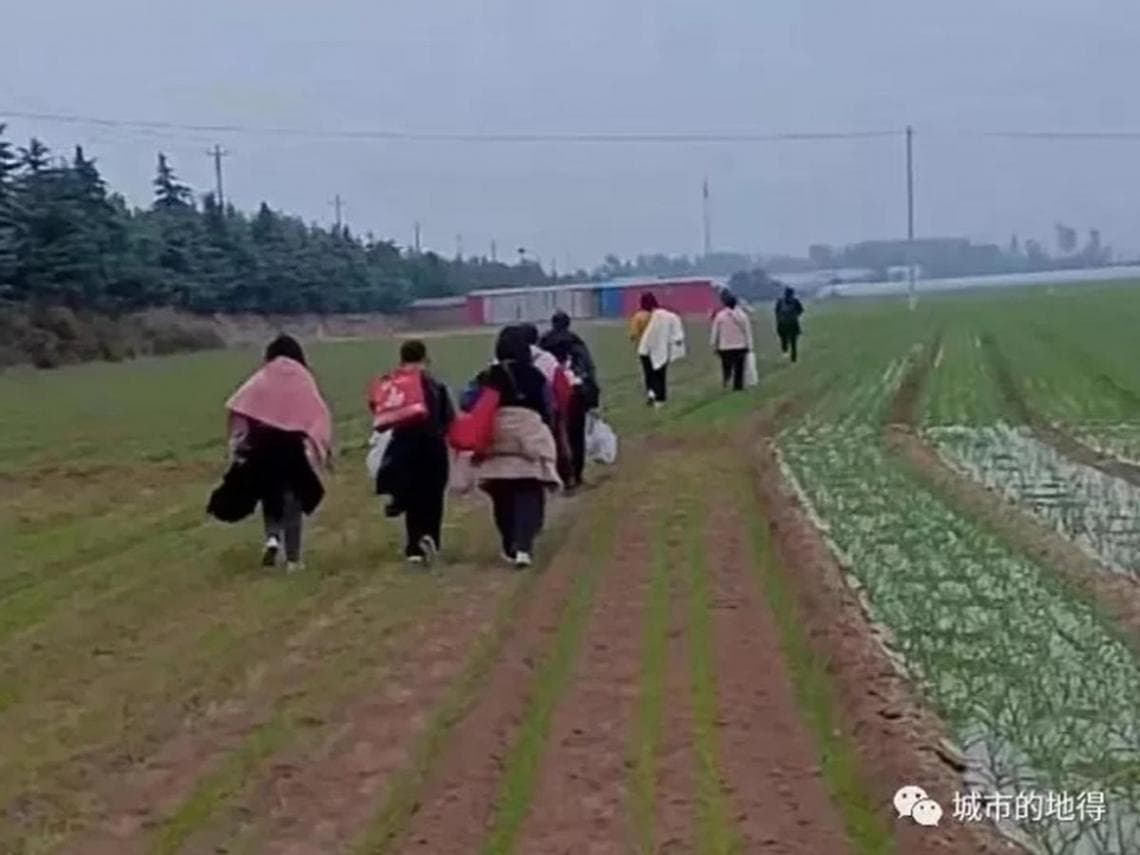 先前傳出富士康鄭州廠員工「大逃亡」影像。(翻自微信)