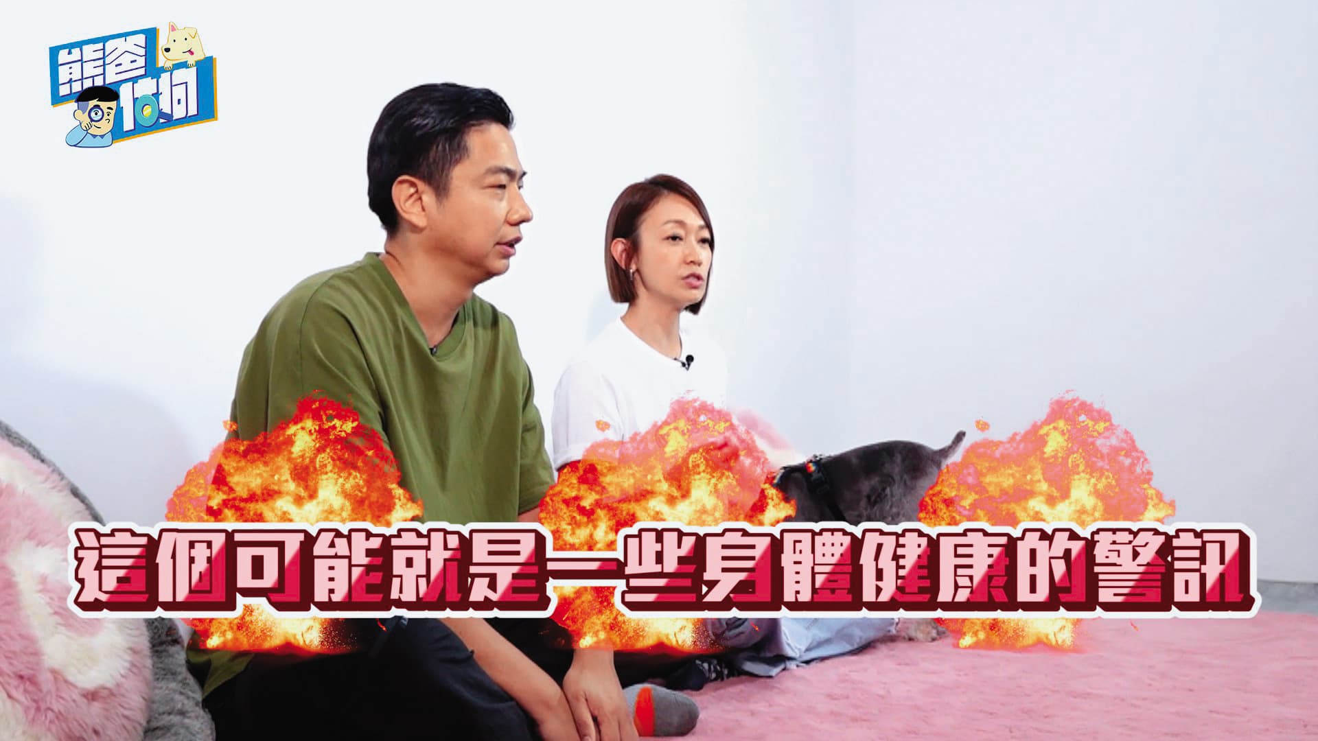 潘慧如在訪問中透露已過世的狗狗樂樂因患上失智症,在照顧上花了不少心力。(翻攝自熊爸估狗YouTube)