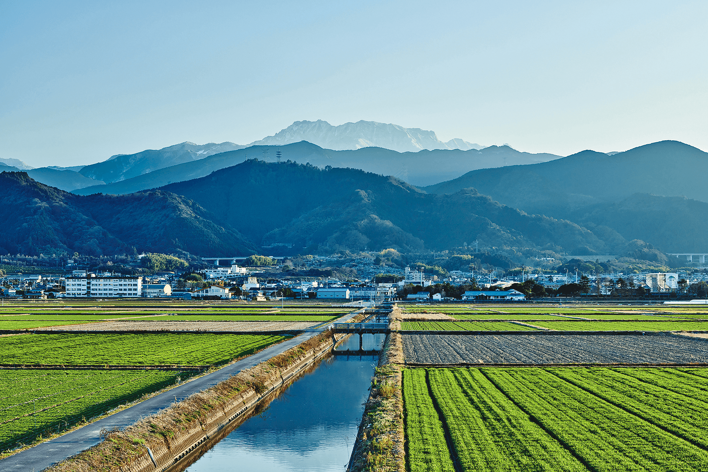 石鎚酒造以日本七大聖山之一的石鎚山命名,周圍是廣袤平原。(石鎚酒造提供)