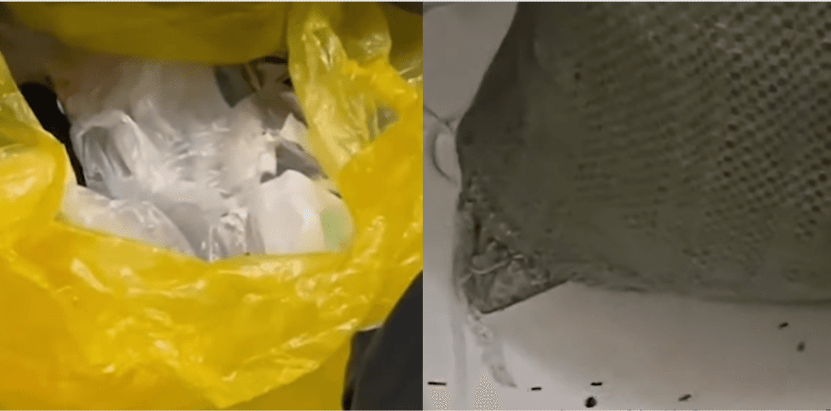 小博室友衛生習慣不佳,常將垃圾放到螞蟻亂爬。(翻攝抖音)