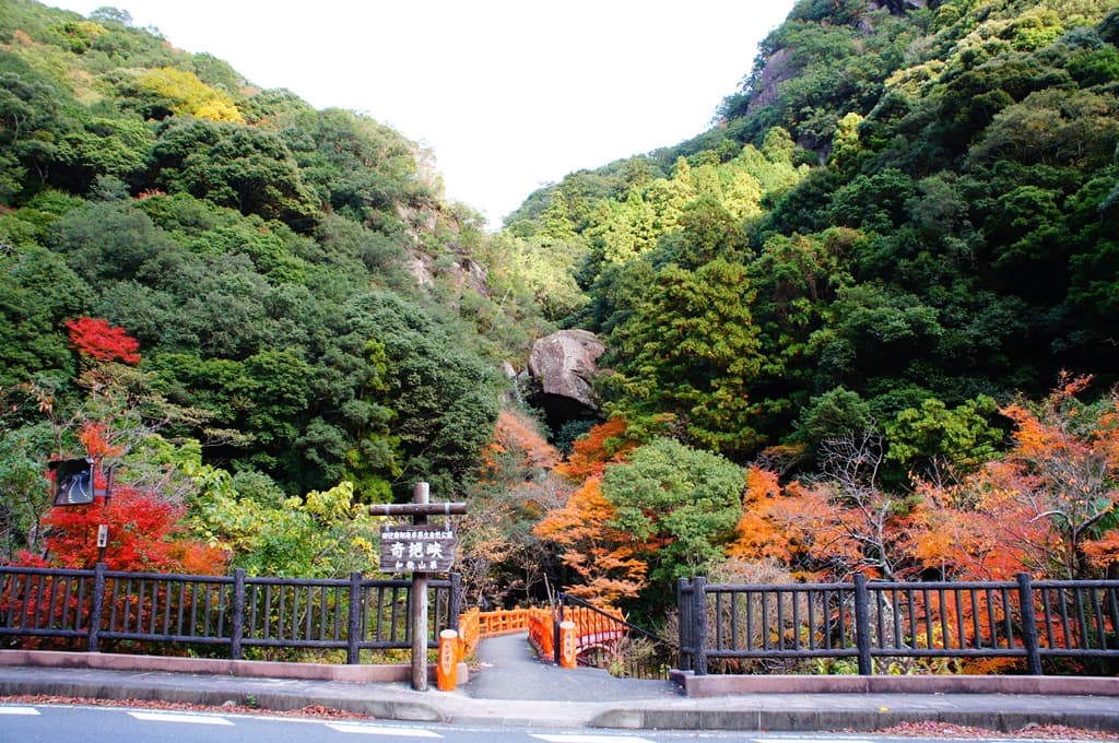 一枚岩前的楓葉景象，有著不同他處的面貌。（田邊市役所提供）