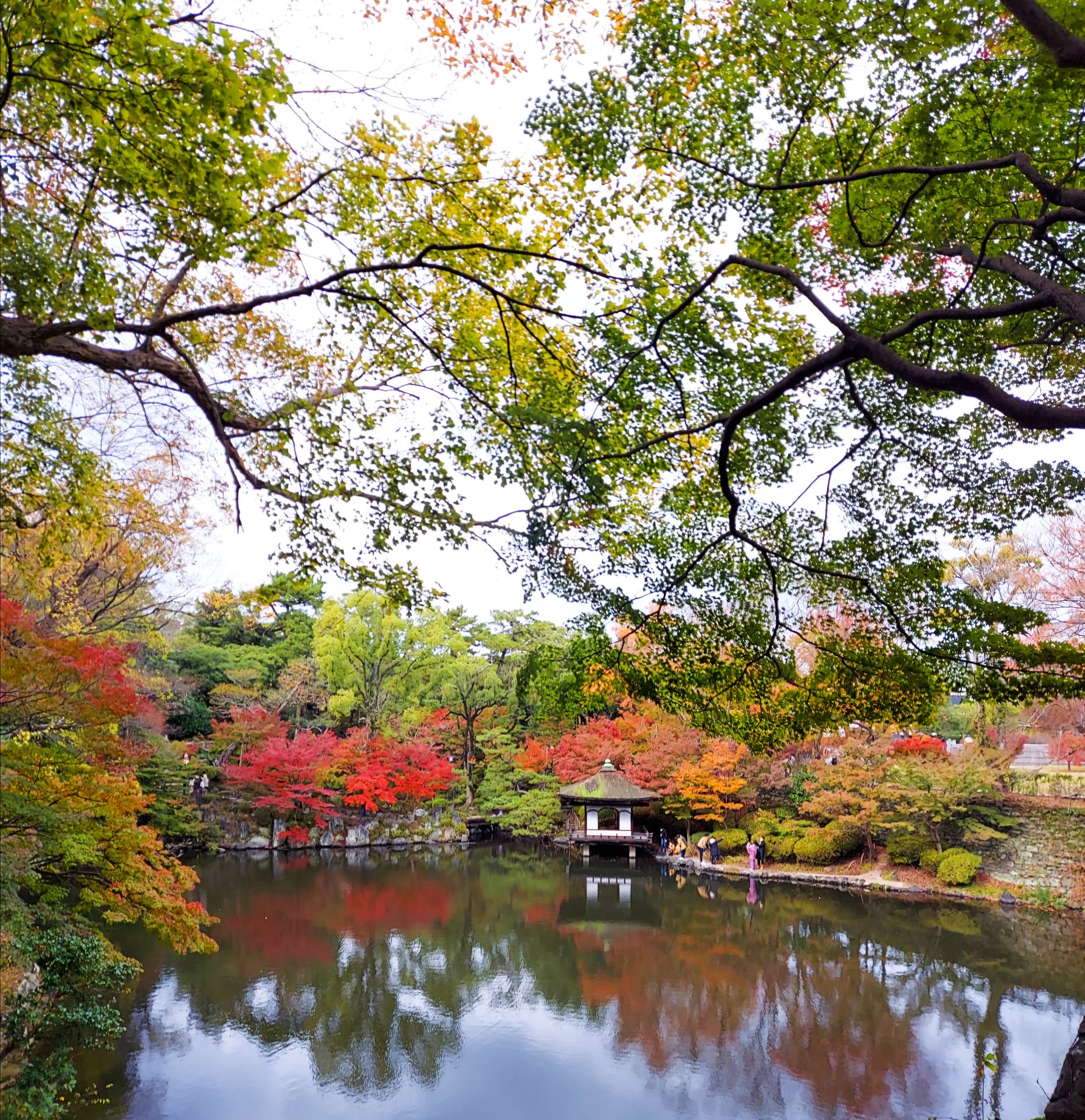 和歌山城內的紅葉溪庭園。(和歌山縣觀光連盟)