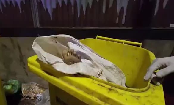 清潔員一度以為在垃圾桶裡有女屍,嚇壞不少人。(翻自brighttv.co.th)