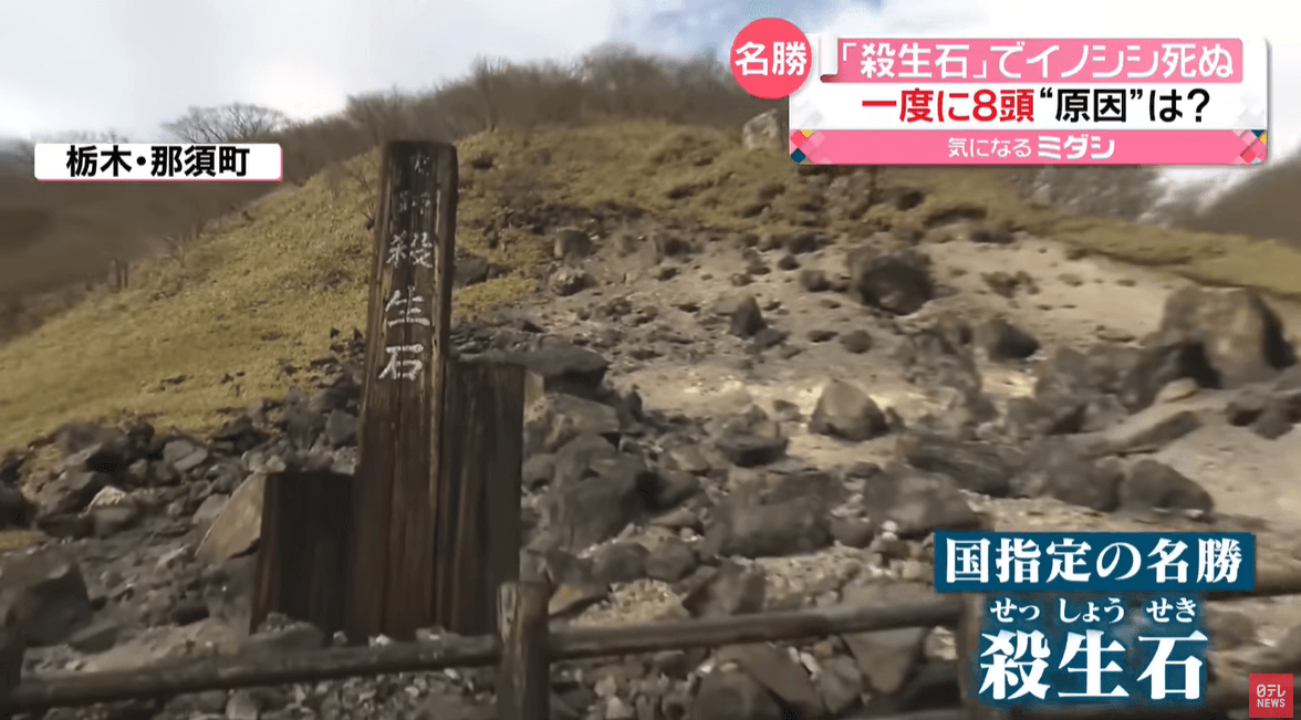 殺生石一直圍繞著許多詭異傳說。（翻自《日本電視台》YT）