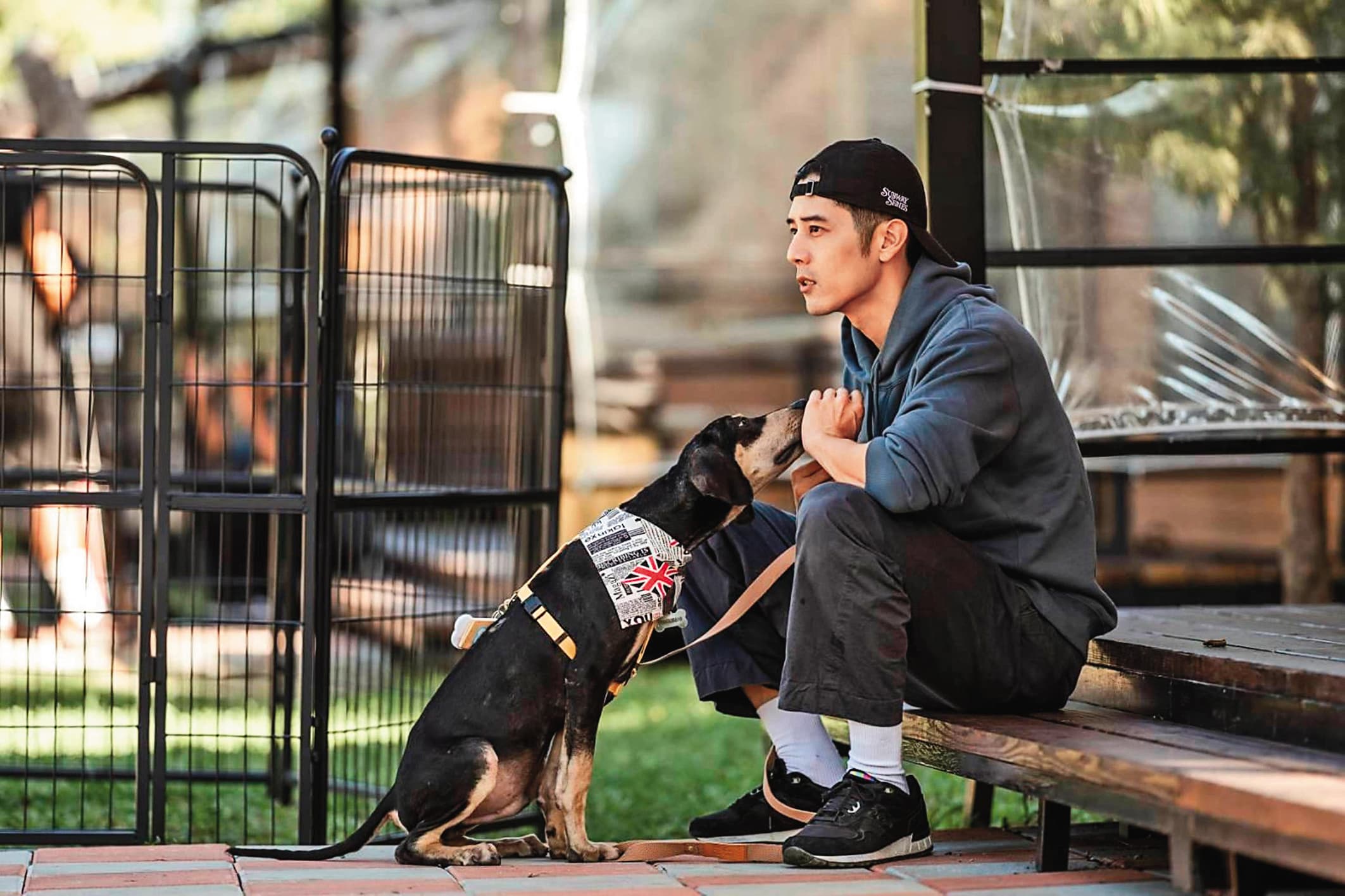 胡宇威在寵物實境秀《TOP DOG》中，擔任浪浪中途爸爸，為他們找家。（三立提供）