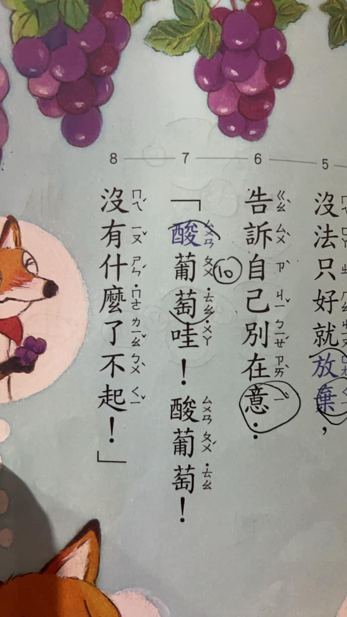 葡「萄」讀音不唸「桃」,而是念輕聲「˙ㄊㄠ」。(翻攝臉書)
