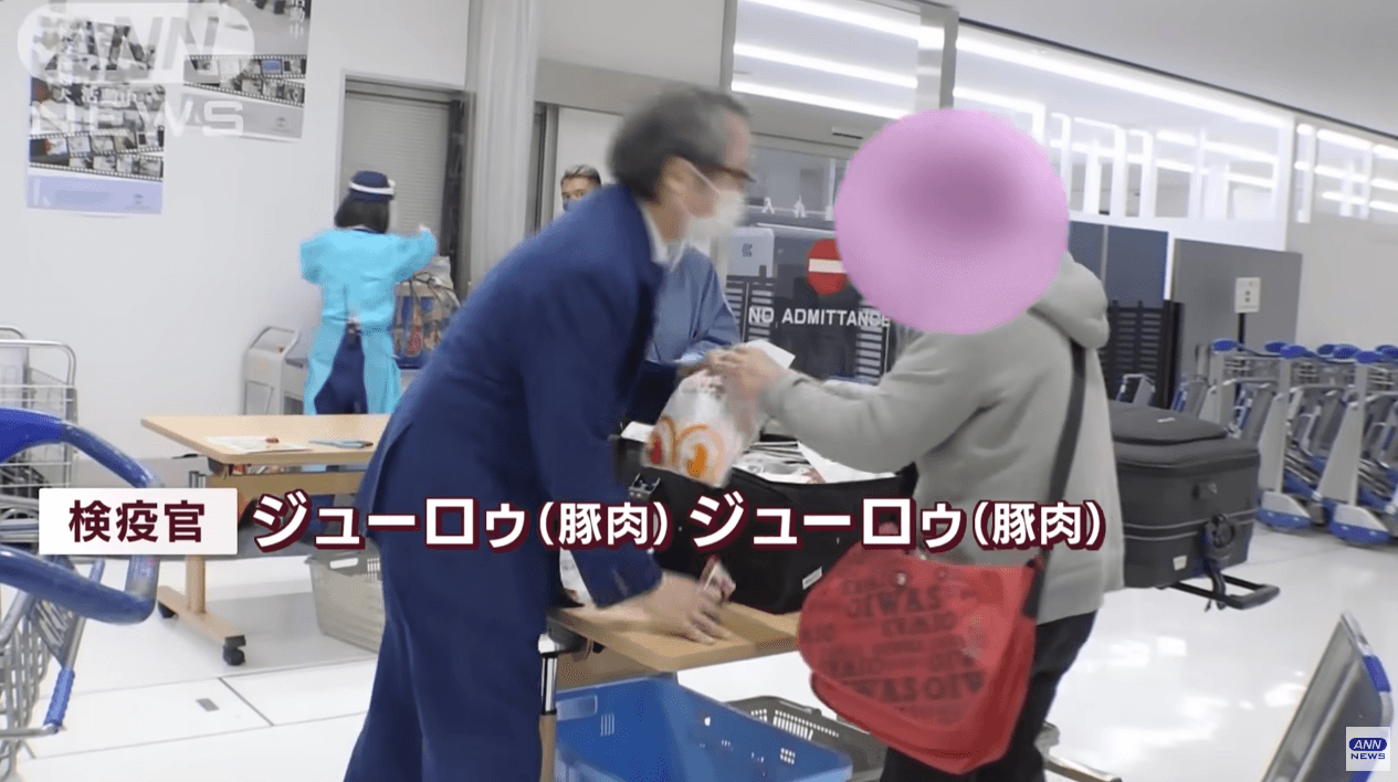 檢疫官用中文對大媽說「豬肉」,兩邊隨後上演搶奪大戰。(翻自ANN YT畫面)