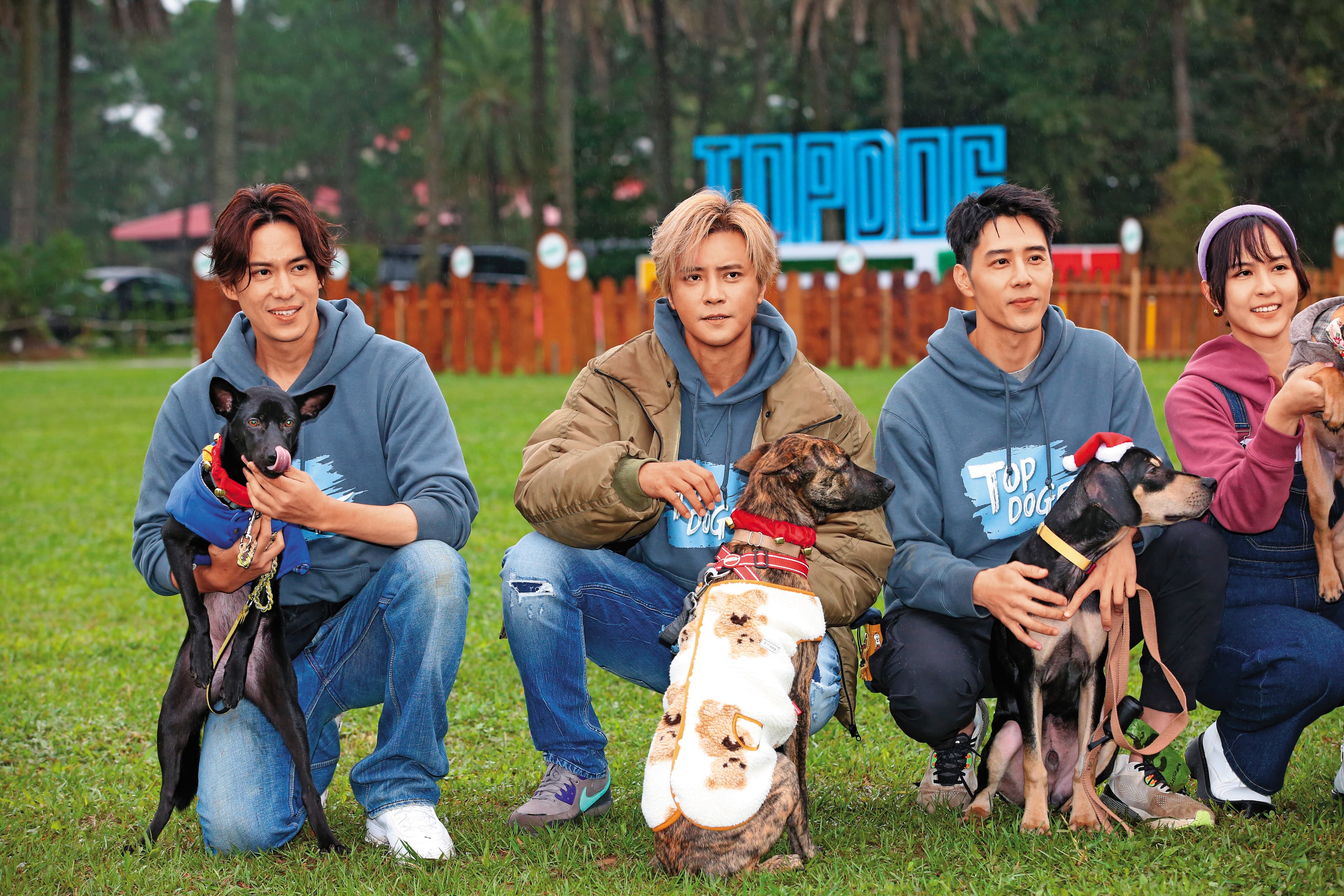 陳楚河(左起)跟羅志祥、胡宇威、魏蔓一同參加寵物實境秀《TOP DOG》,由藝人擔任中途爸媽角色,為浪浪找家。