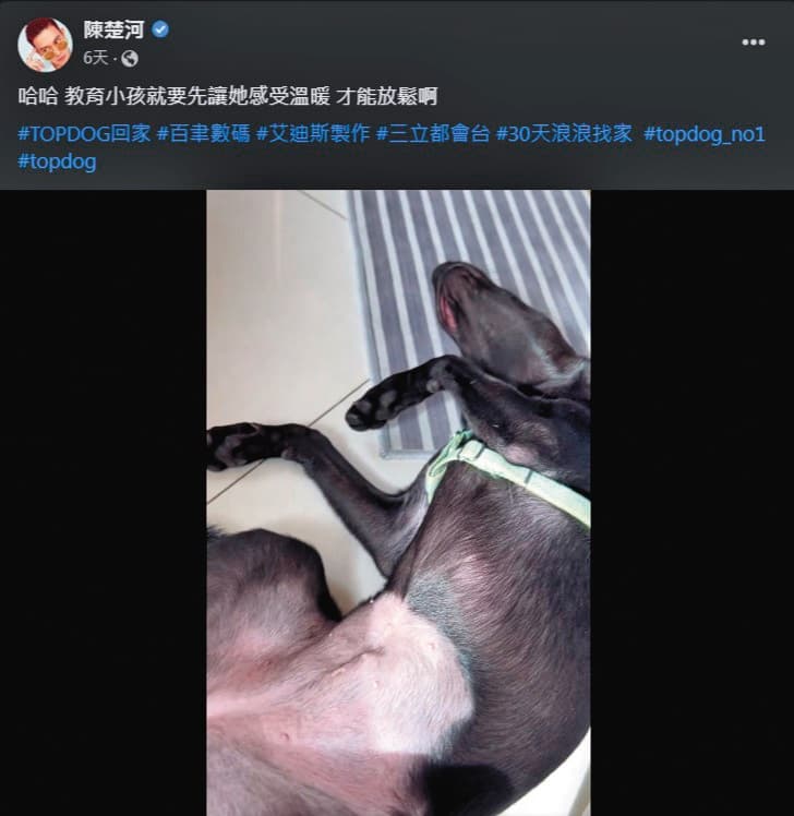 米克斯浪浪Fiona到陳楚河家接受訓練、學習跟人相處後,從緊張個性變成放心翻肚入睡,變化之大讓陳楚河相當開心。(翻攝自陳楚河臉書)