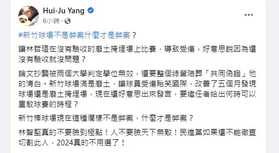 楊蕙如痛批民進黨若不處理林智堅，2024就不用選了。（翻攝自楊蕙如臉書）