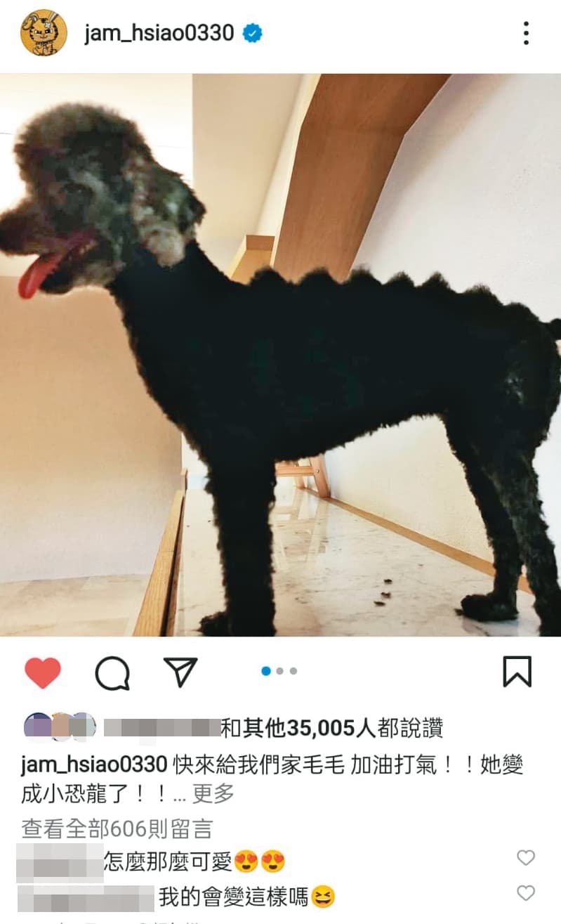 蕭敬騰有空就幫家中的狗狗整理門面，把黑貴賓毛毛剪成小恐龍。（翻攝自蕭敬騰IG）