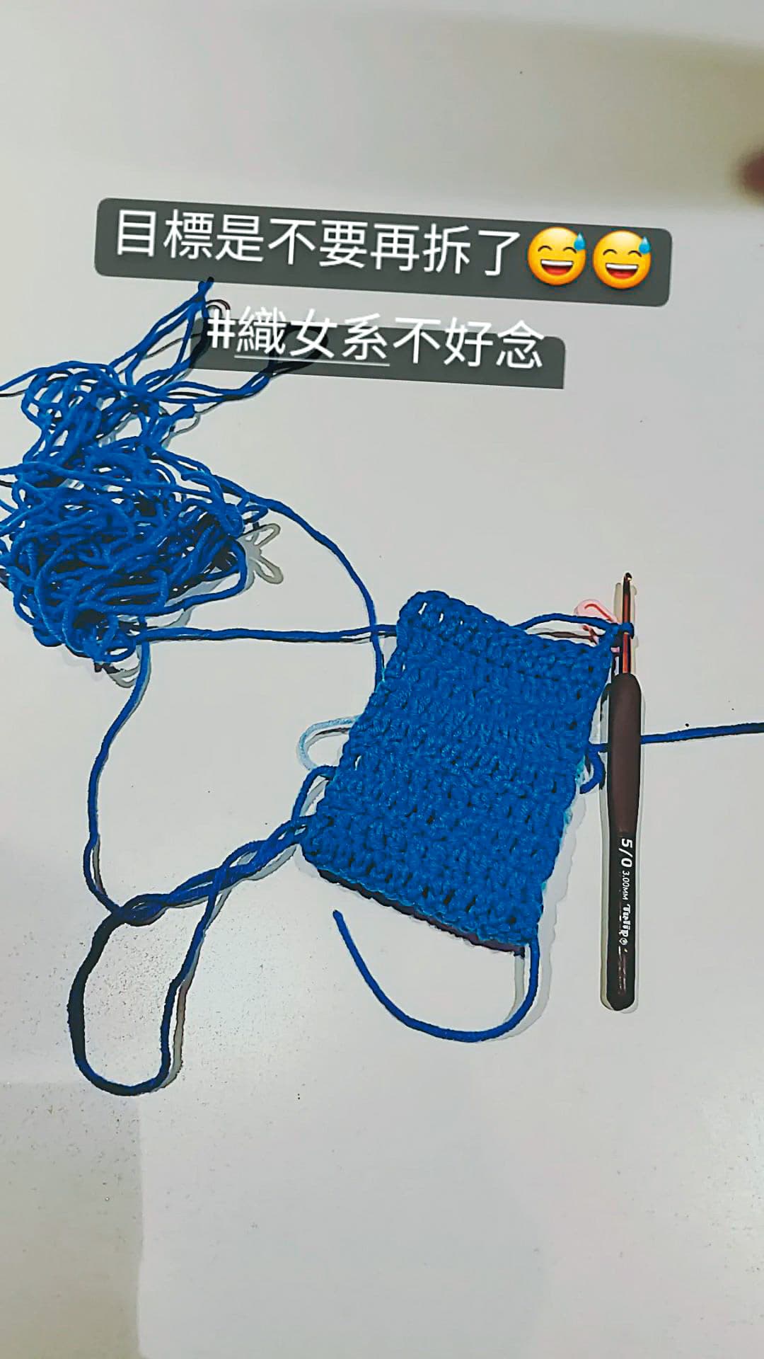 蔡依林秀出自己編織成果,希望不要再拆線重做。(翻攝自蔡依林IG)