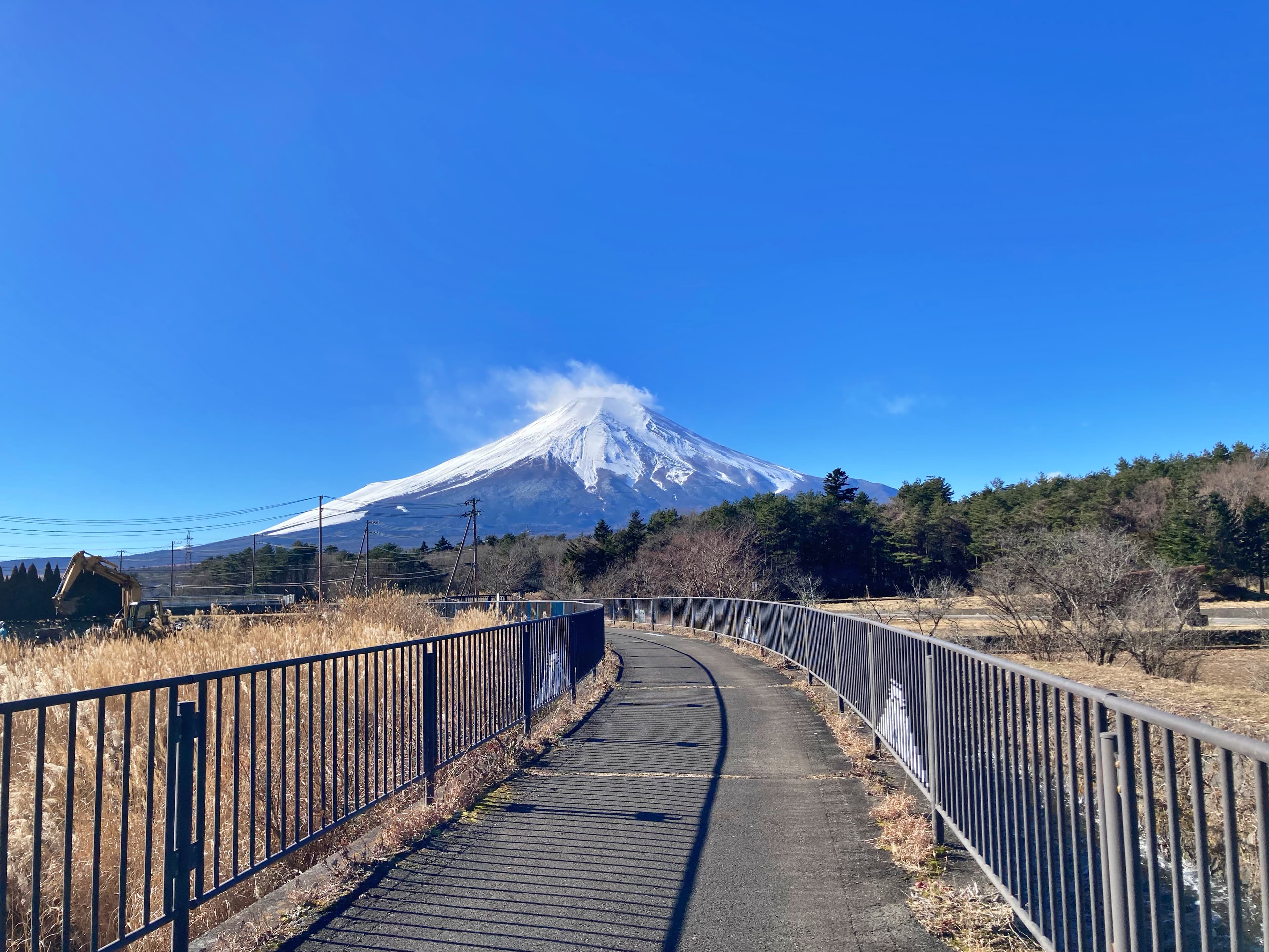 山中湖花都公園欄杆漆上富士山超可愛，雖然冬季不是花期，但富士山會一直在那裡。