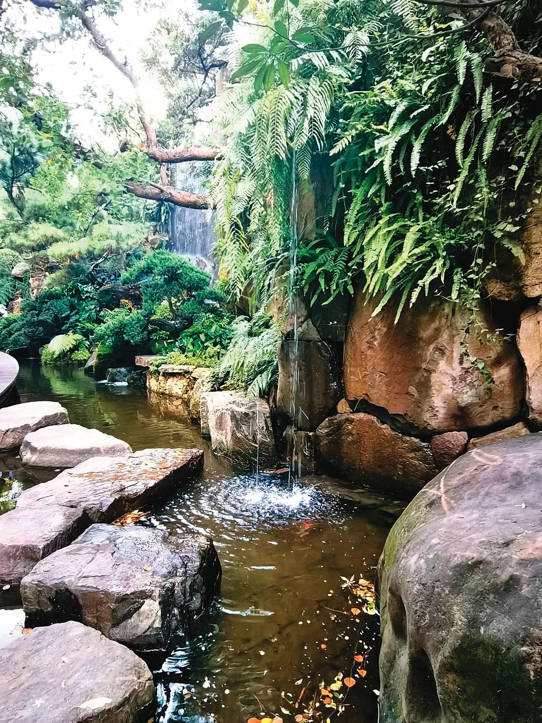 沈慶京有感於氣候變遷嚴重,近年積極推動綠建築,圖為陶朱隱園公設造景。(中華工程提供)