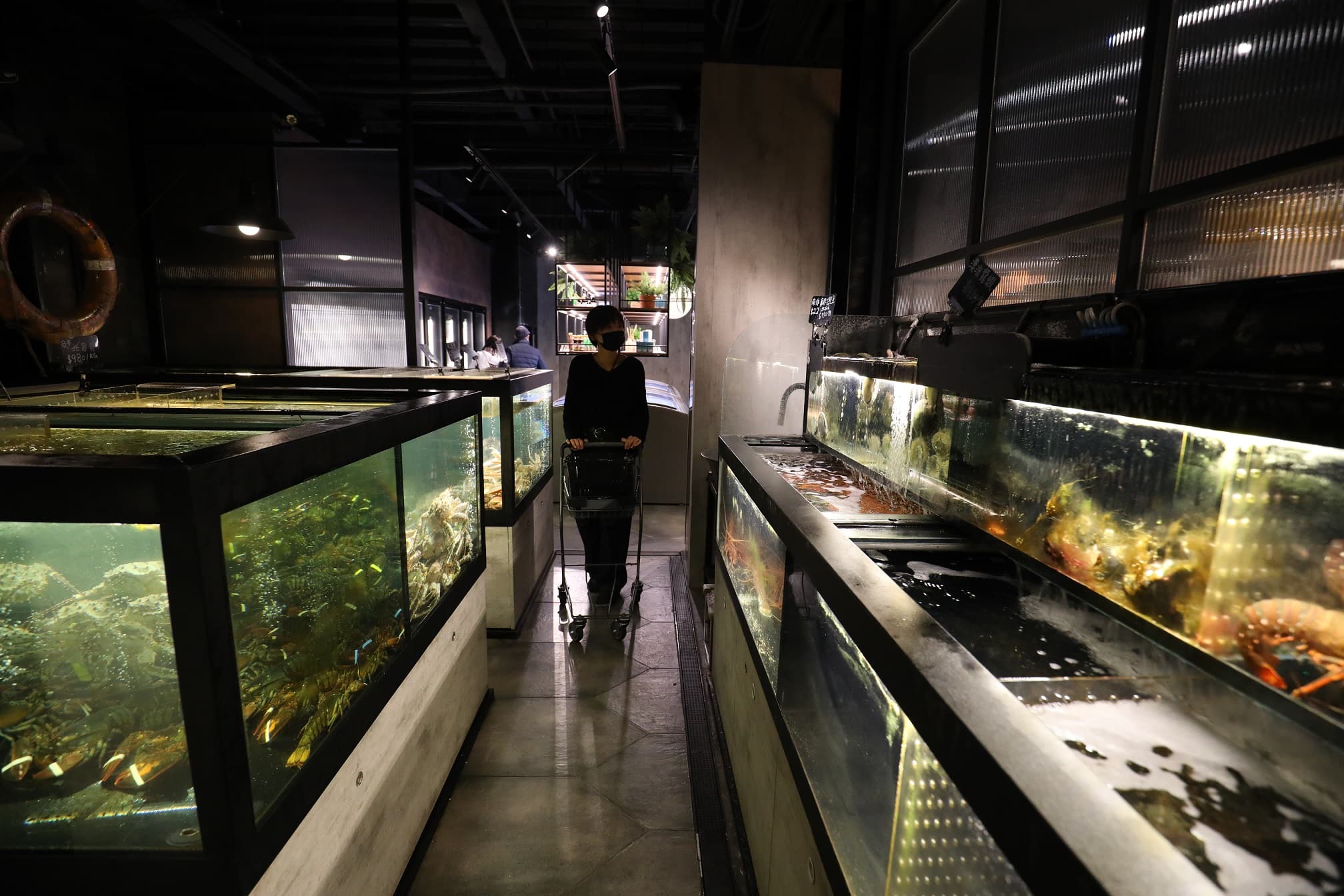 四行倉庫耗資百萬建造不同溫層的水族箱,引進各式高品質的活體海鮮。