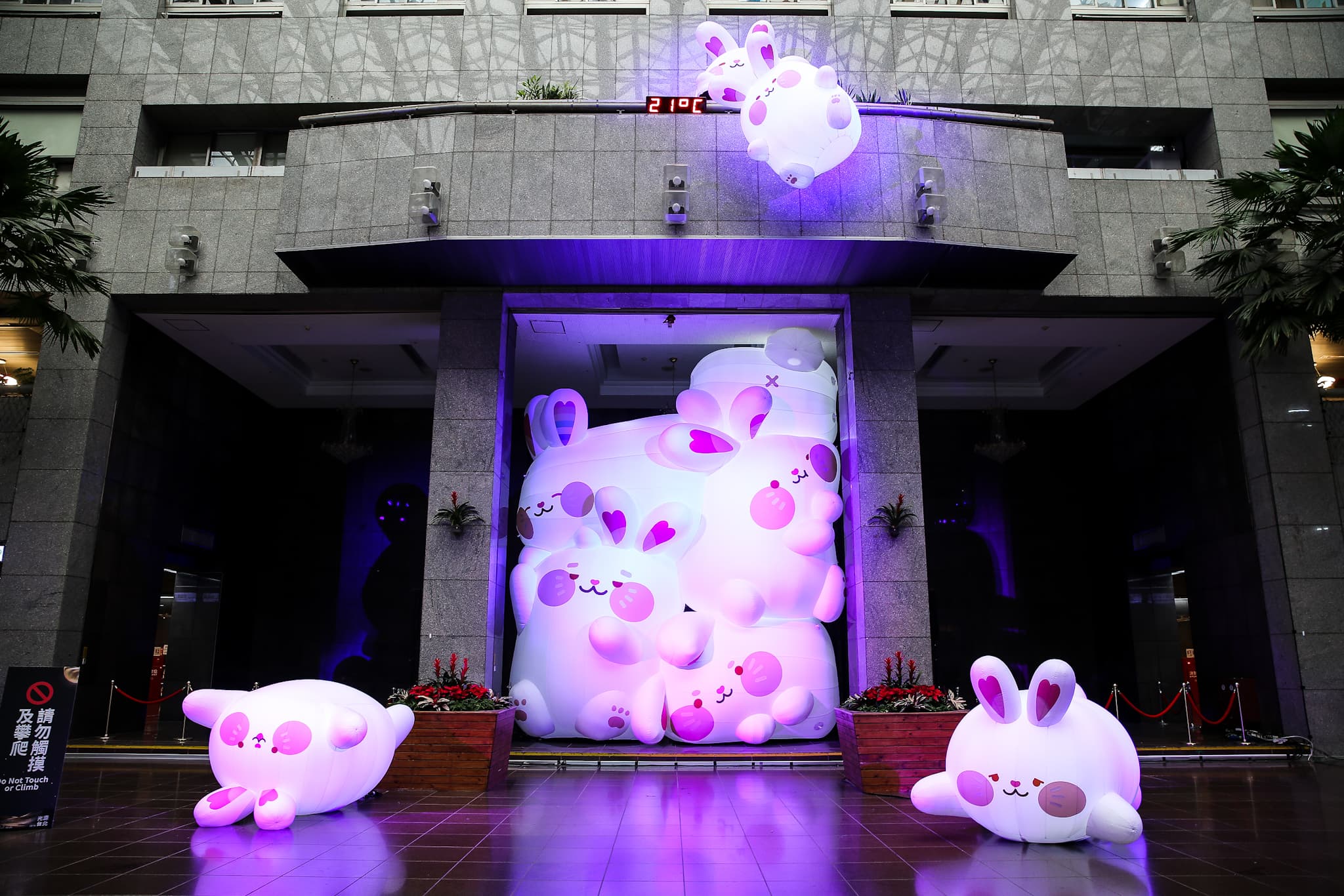 「兔兔餐包」遠看超壯觀。