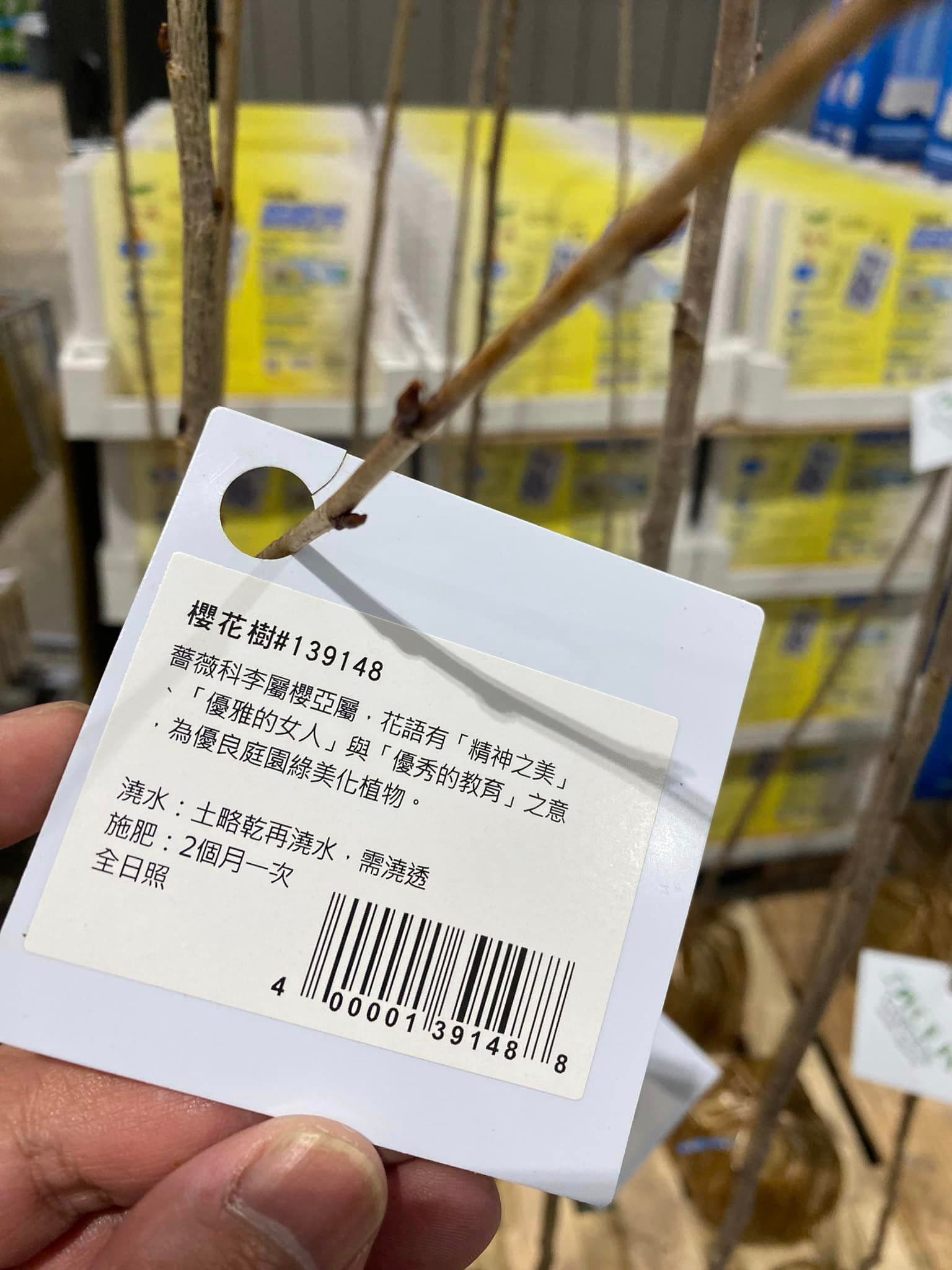 該款櫻花樹上還簡介,解釋該花語有「精神之美」「優雅的女人」與「優秀的教育」的意思。(翻攝自臉書社團Costco好市多 商品經驗老實說)