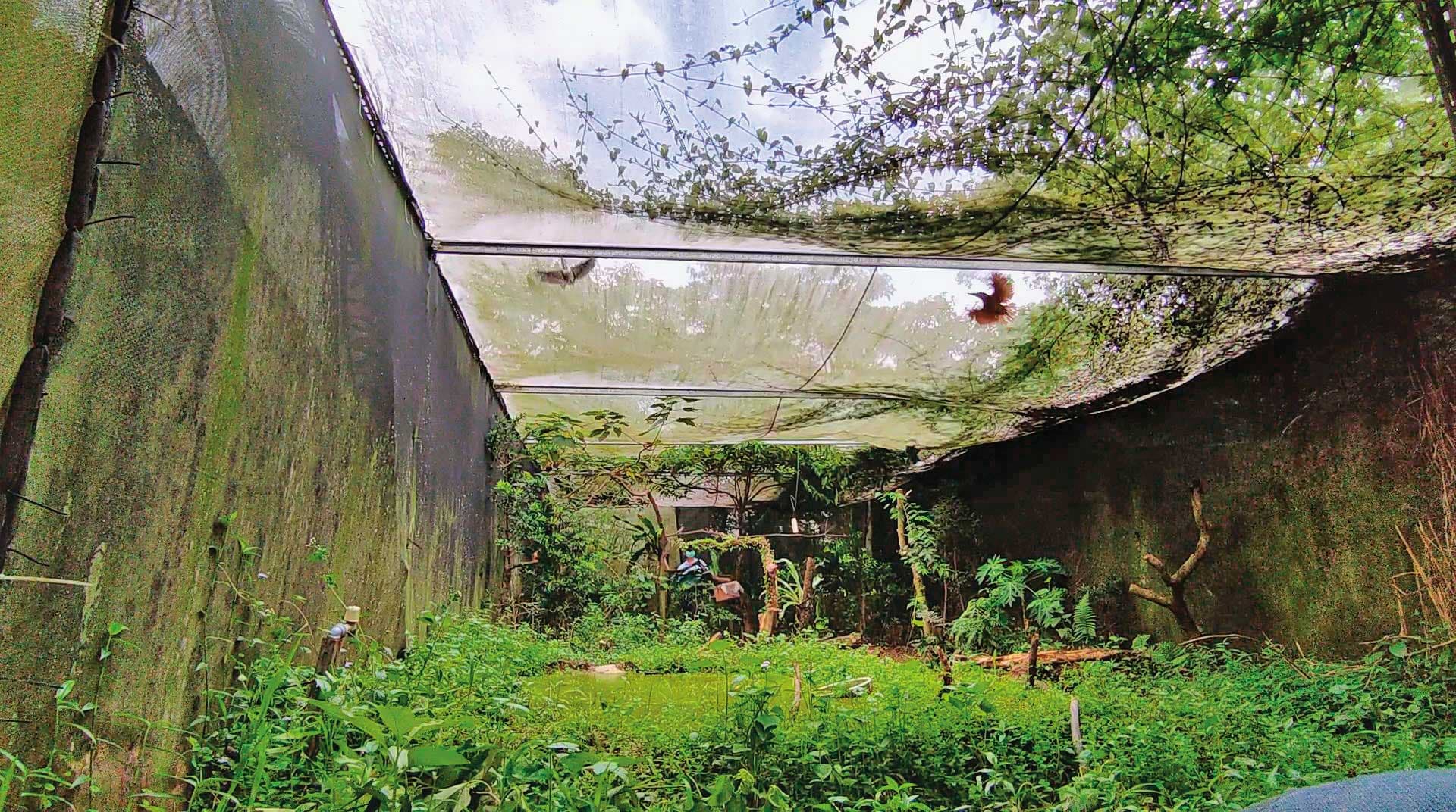 桃園G場收費制度完整,除了單次參觀,還有會員「拍到飽」制度,並有會員限定拍攝的鳥種。