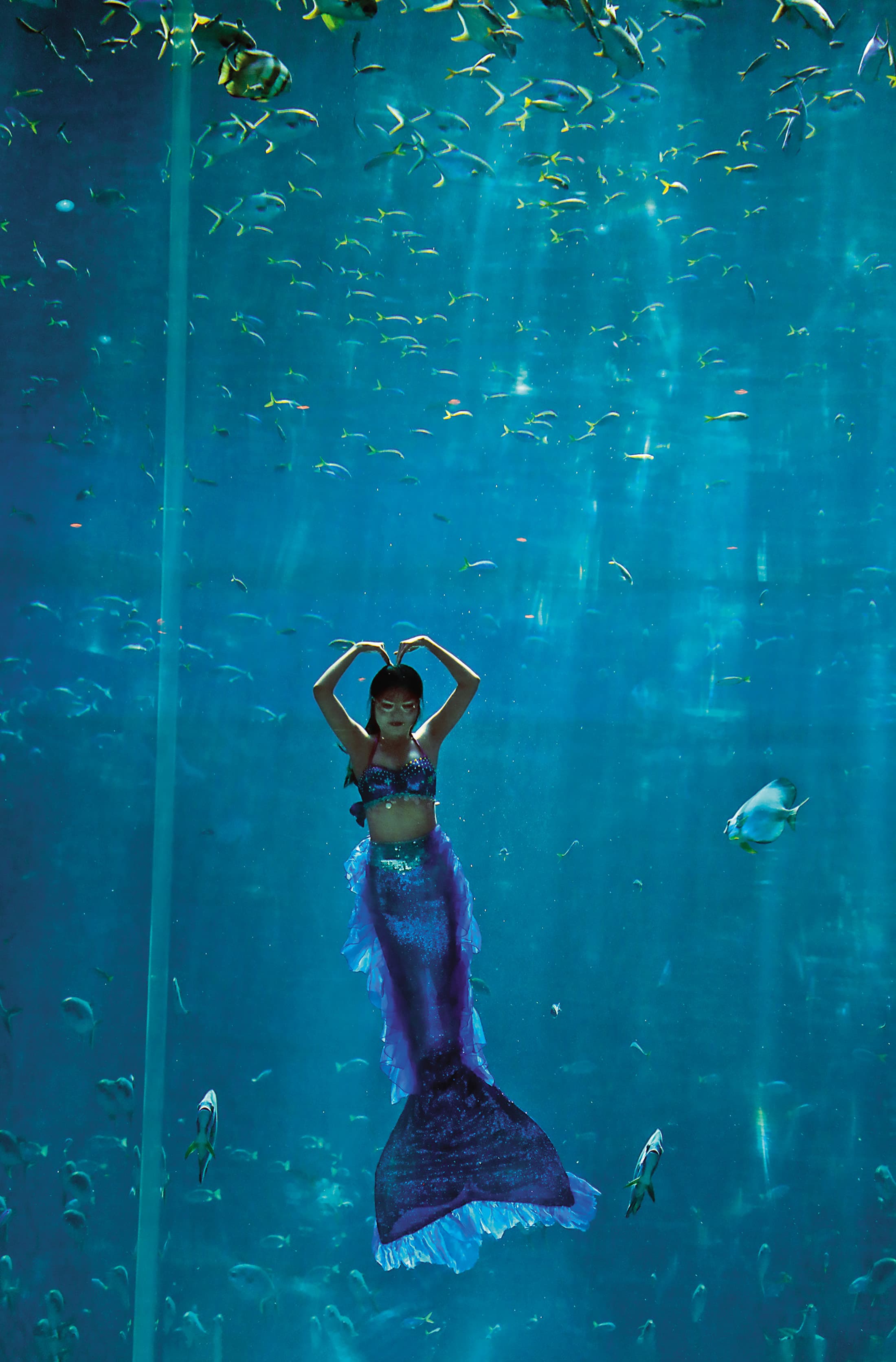 「海龜水族館」每天定時上演精彩的美人魚秀。