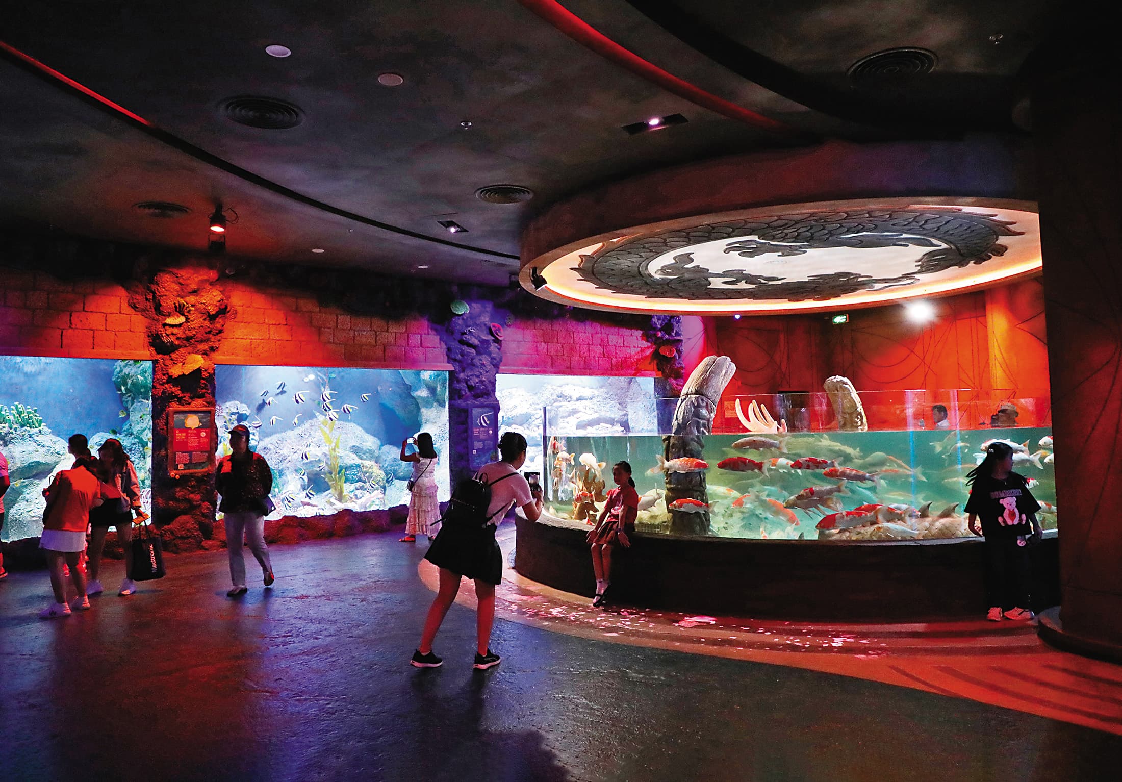水族館引進種類豐富的魚類，而且冷氣很強，超適合當作來到主題樂園遊玩的第一站。