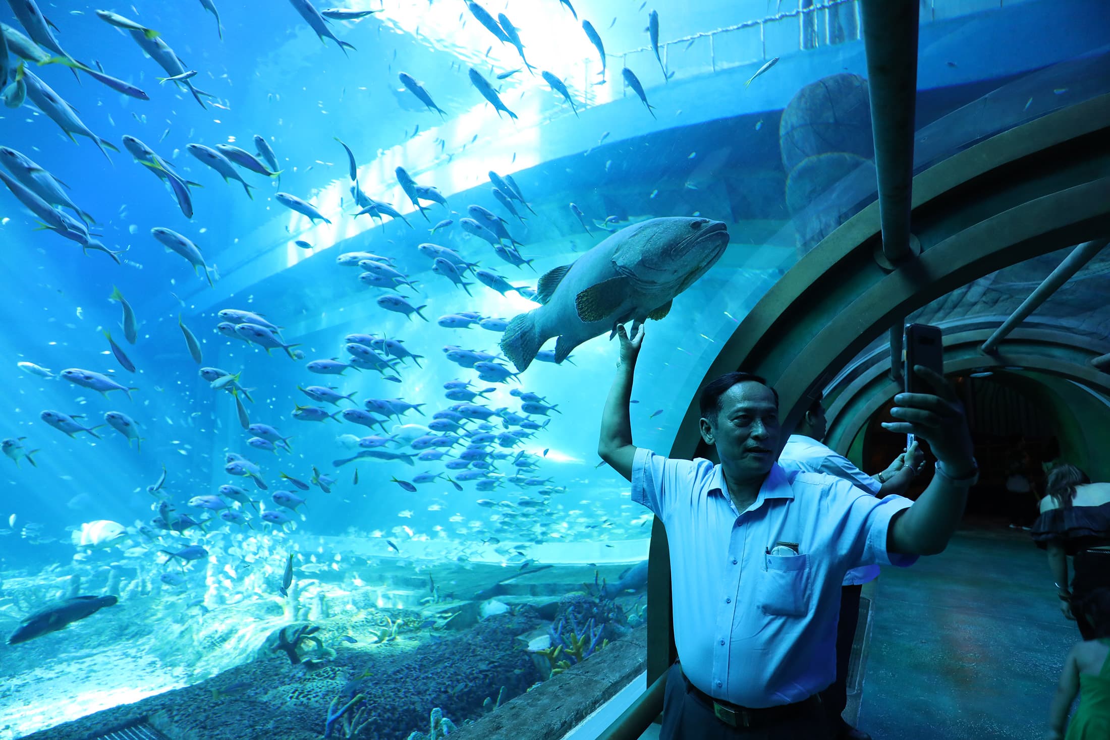 遊客們很會善用手機跟水族館內的魚群合影自拍照。