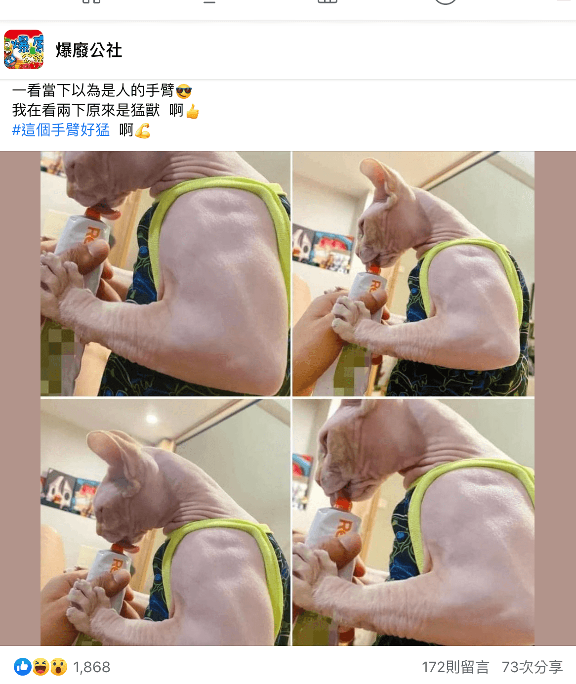 斯芬克斯貓露出超壯手臂吃零食。(翻攝自爆廢公社臉書)
