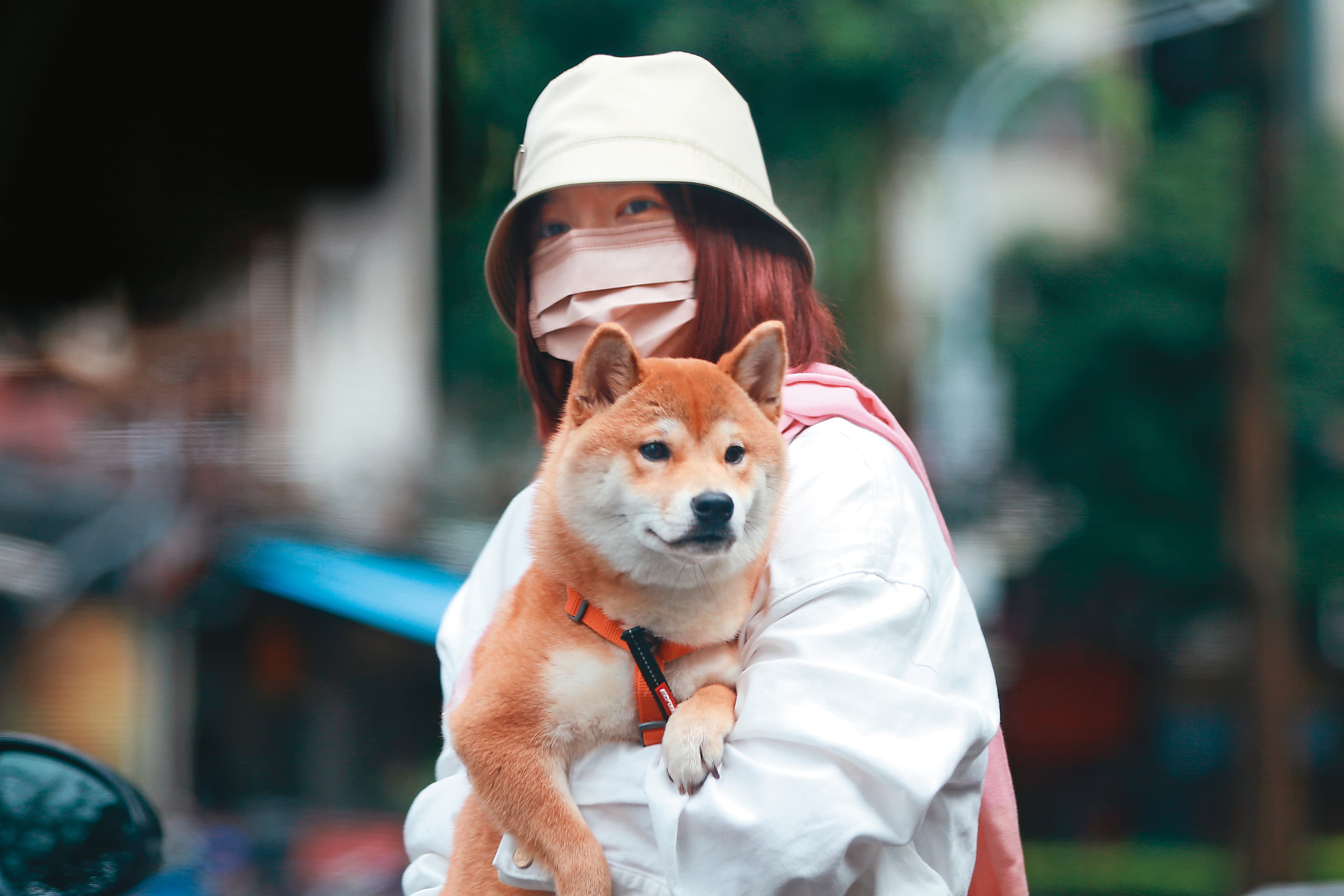 郭雪芙與王子弟弟毛弟相熟,才會抱著毛弟的柴犬「Momo醬」一起溫馨出遊。