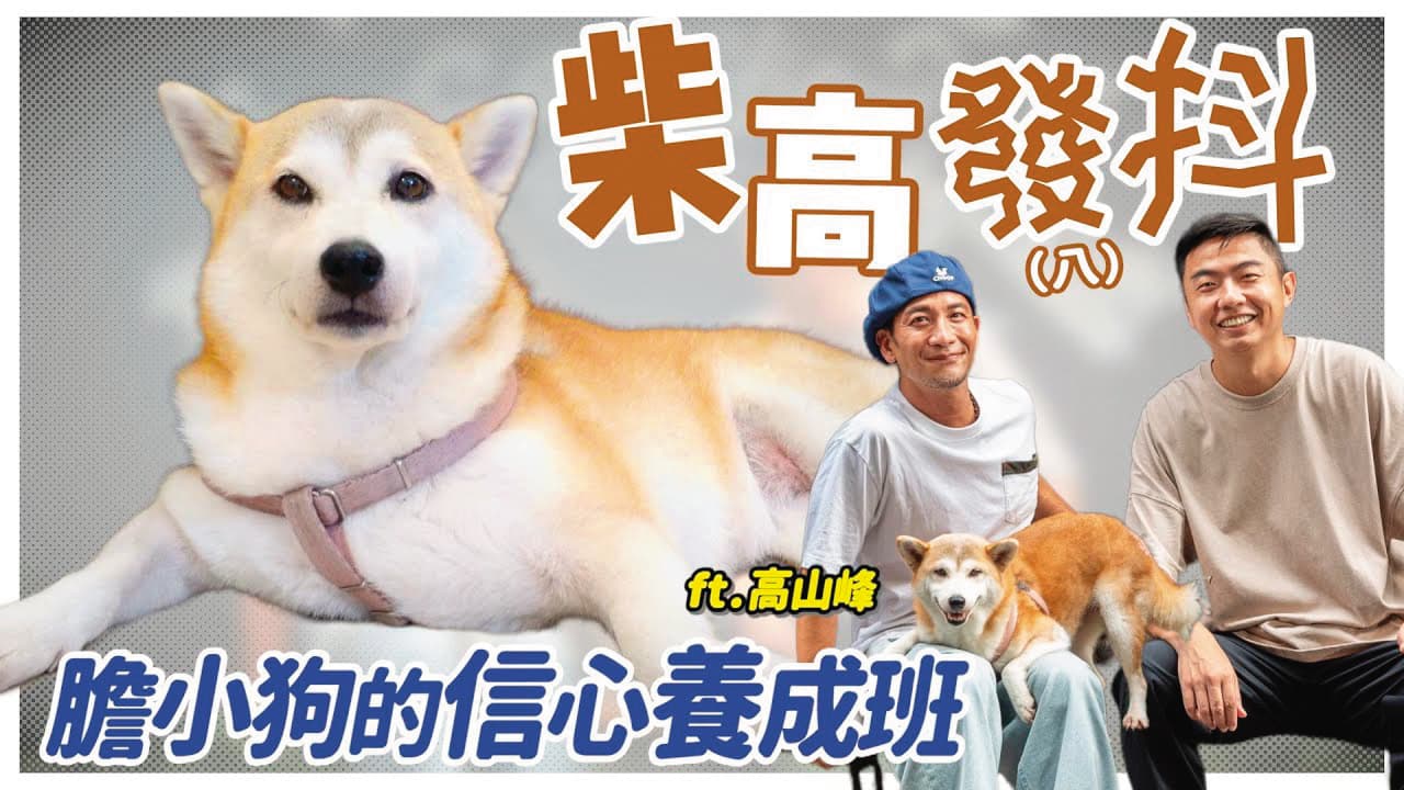 花妹對聲音敏感，對鞭炮聲更是惶恐，害怕到發抖躲桌下，還因此瘦了2公斤。（翻攝自熊爸估狗YouTube）
