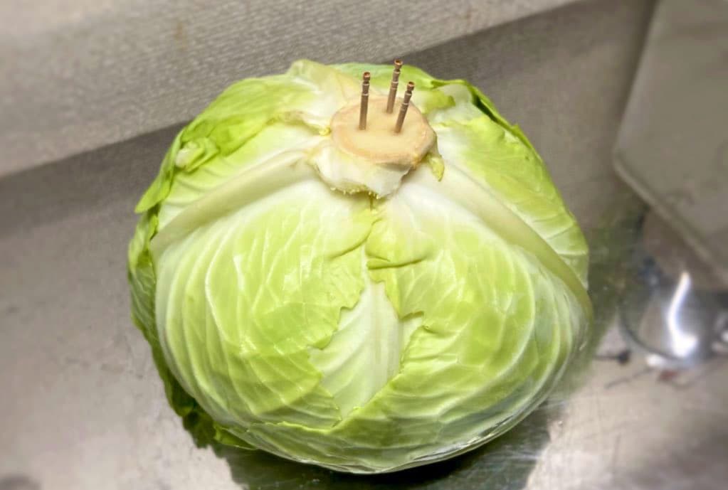 只要在高麗菜的芯上插入牙籤,可以延長保鮮。(翻攝推特 麦ライス(シェフ))
