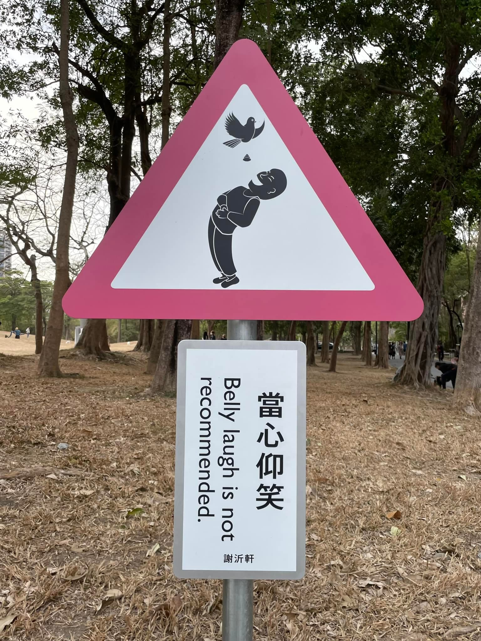 「當心仰笑」告示牌,要民眾注意從天而降的鳥屎。(翻攝自路上觀察學院)