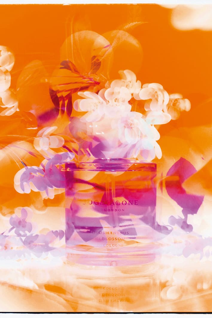 桂花香水NT$4,050╱50ml、NT$5,800╱100ml。（Jo Malone London提供）