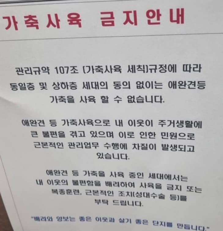 李己雨近期看到社區貼出公告要求飼主對寵物進行聲帶切除手術,在社群貼文發聲大表憤怒。(示意圖,翻攝IG@lee_kiwoo)