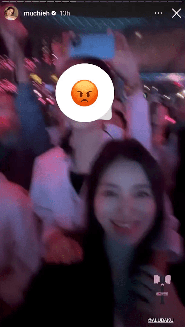 林牧潔與女兒開心看BLAKPINK演唱會。(翻攝林牧潔IG)