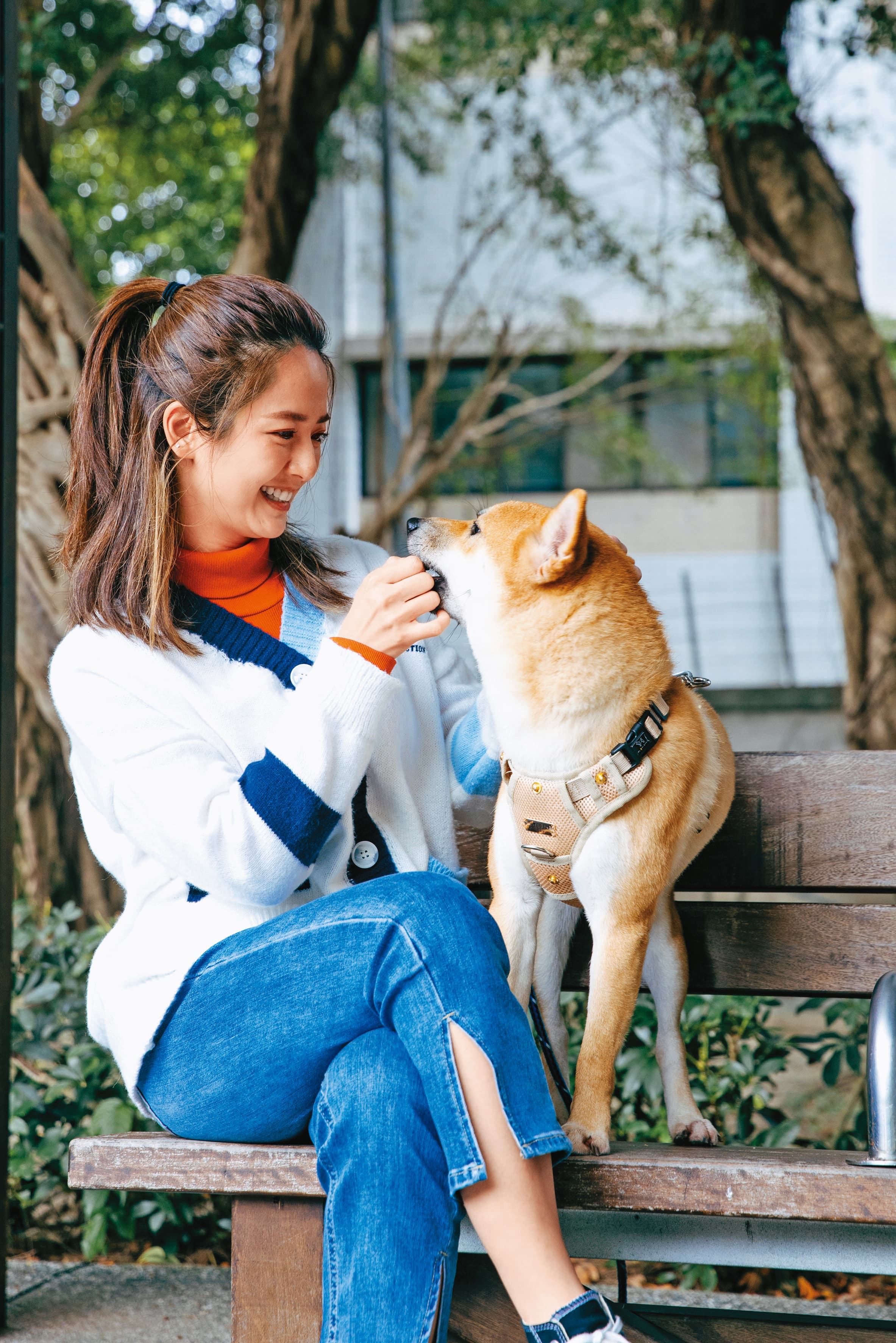 臧芮軒第一次養狗狗，就選擇性格固執的柴犬，坦言這半年讓她吃盡苦頭。