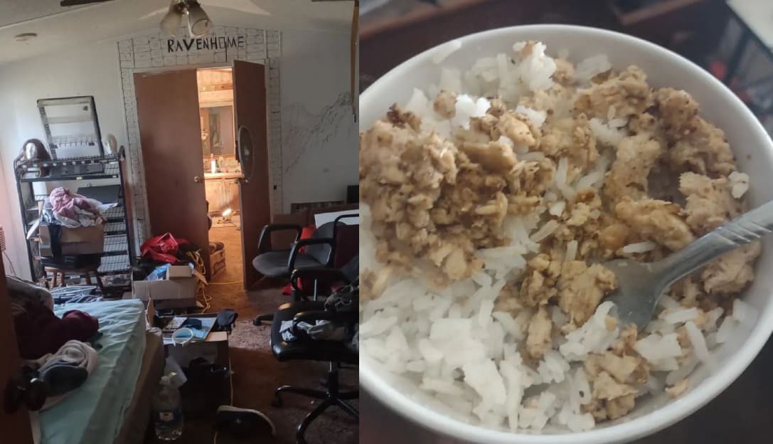 亞歷山大表示自己過得很慘,每天只吃一餐,還住在沒屋頂的破屋子裡面遭受各種天災之擾。(翻攝IG @ravenbunny8420)