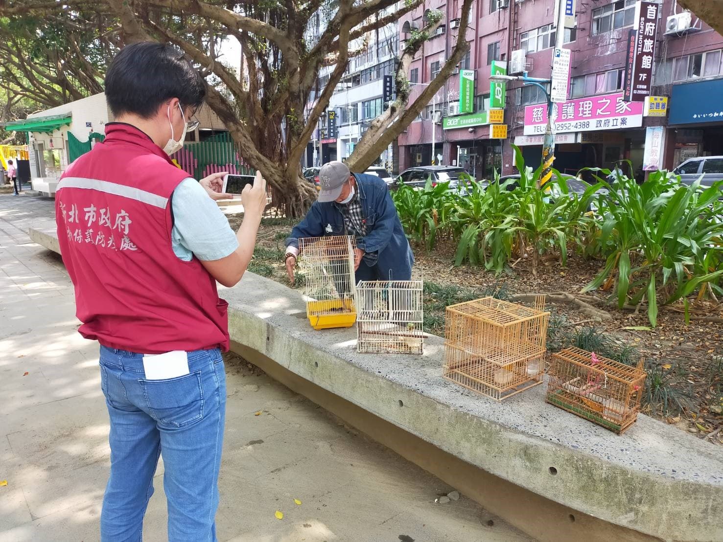 動保處同仁會同行為人將非法誘捕綠繡眼,帶到公園野放。(新北動保處提供)