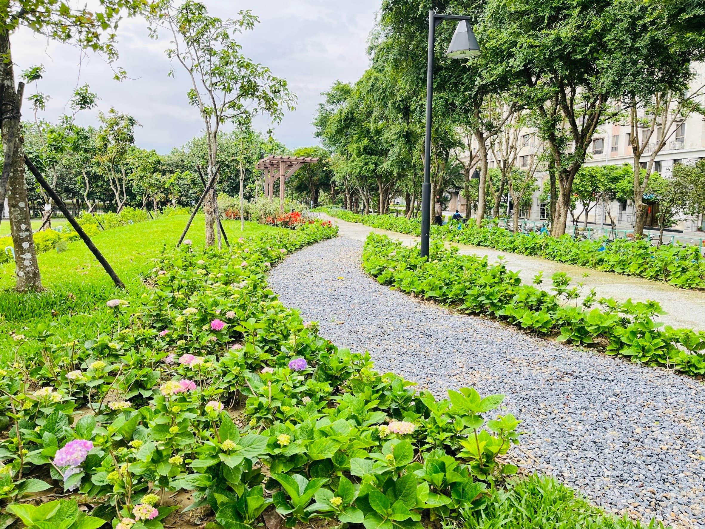 北大汙水廠旁草花公園繡球花開,將於29日開放。(新北水利局提供)
