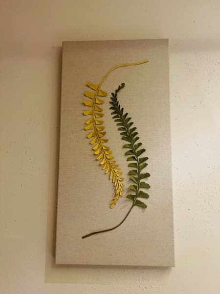 牆面懸掛以台灣700多種蕨類創作的作品。