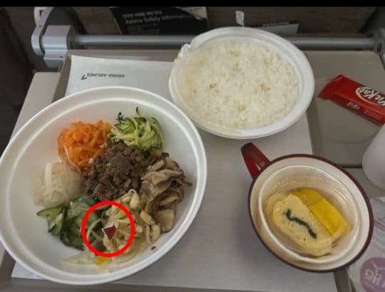 從乘客曝光的飛機餐照,就可見豆芽菜上有咖啡杯碎片。(翻攝自Naver Cafe)