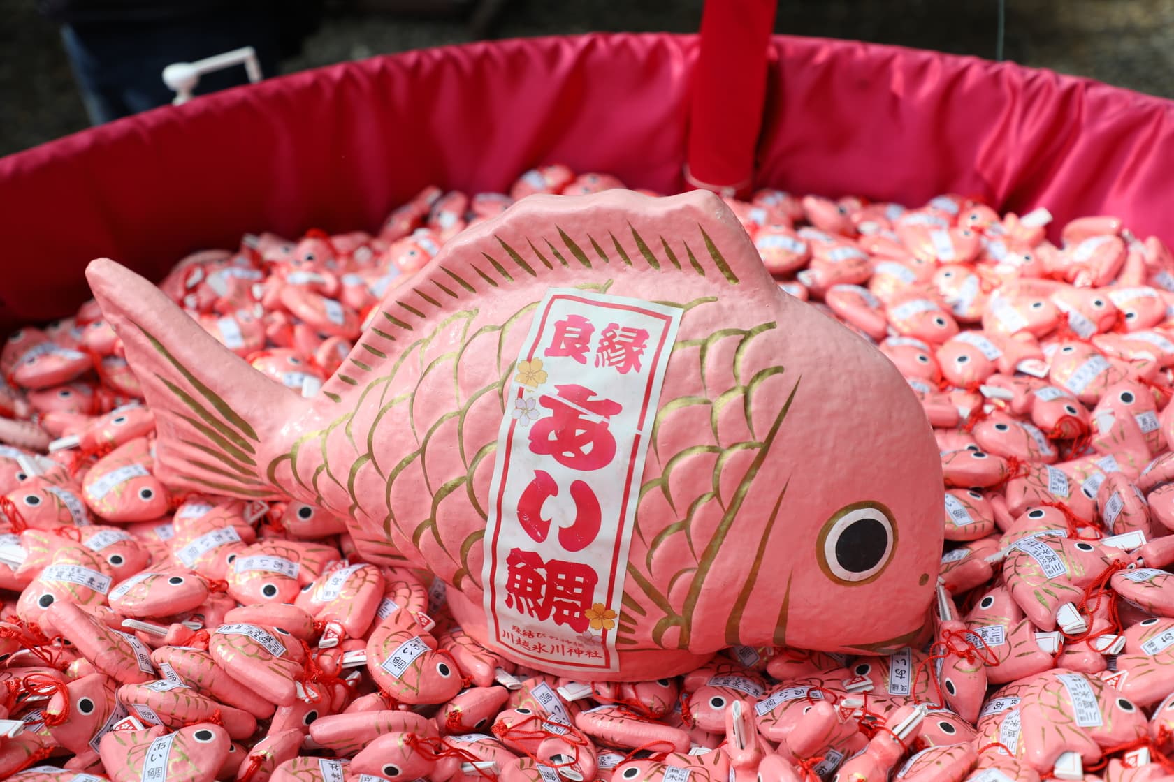 粉紅色的鯛魚內有戀愛籤詩。