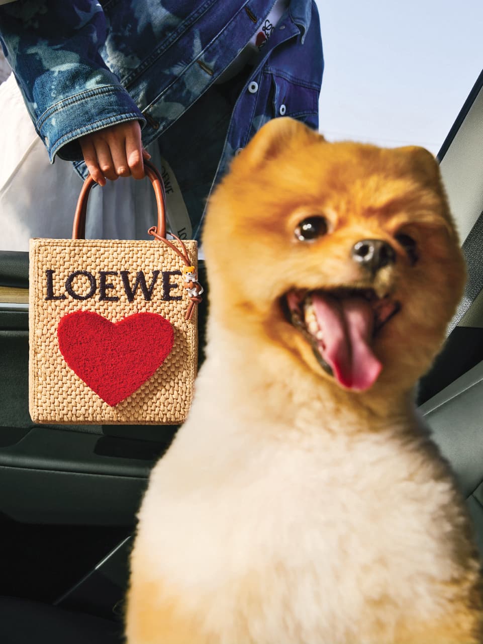 LOEWE 520情人節特別企劃有令人融化的可愛博美入鏡。編織大愛心酒椰葉纖維托特包。NT$53,000（LOEWE提供）