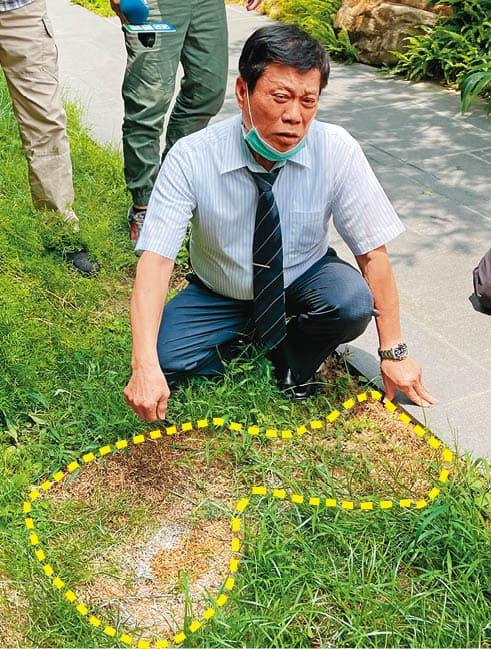 資深法醫高大成(圖)懷疑死者遭人下毒,嘔吐物導致陳屍地點的草皮(虛線處)枯黃。