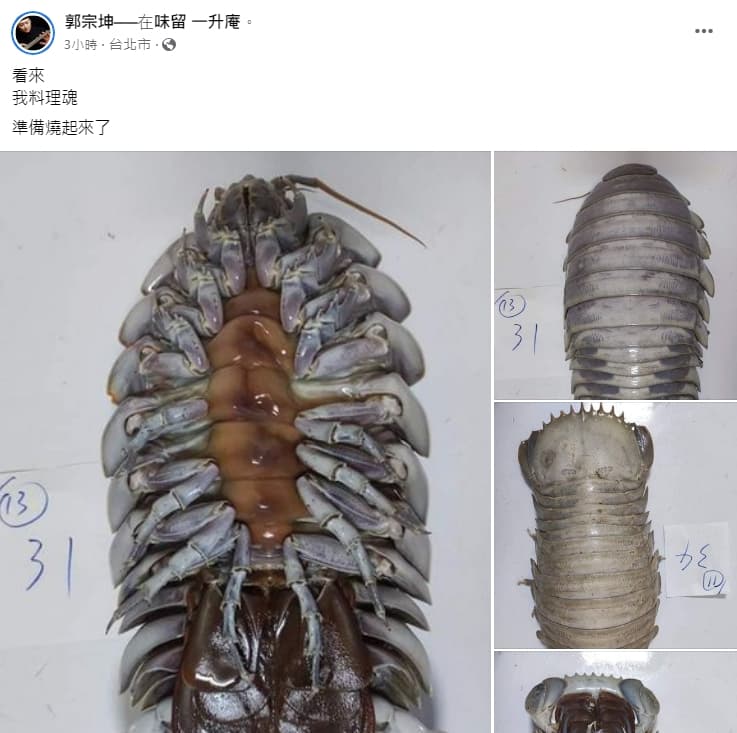 郭宗坤入手近日網路爆紅的大王具足蟲,並曬出清楚的翻身照片。(翻攝自郭宗坤臉書)