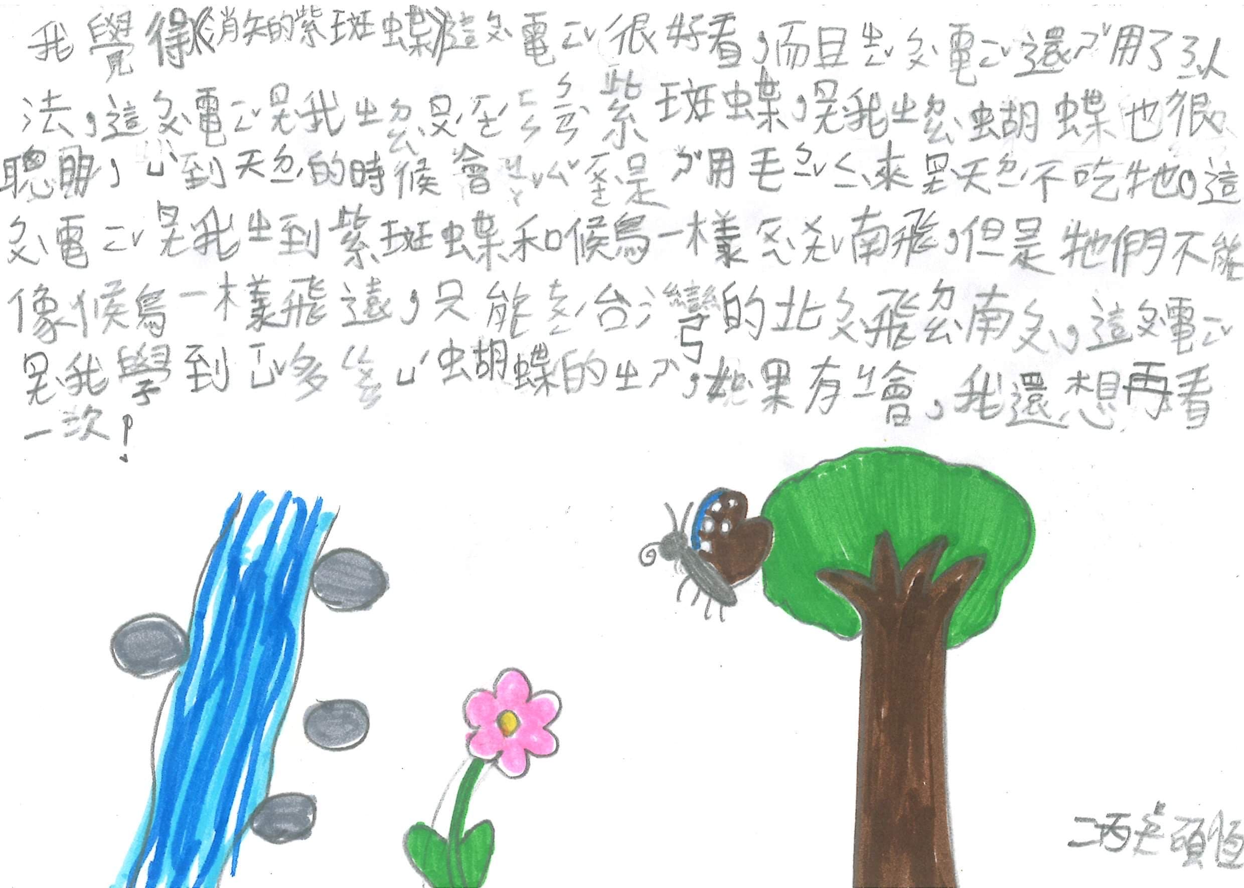 小學生透過大螢幕看見紫斑蝶一生充滿奇幻的旅程,觀影後的心得圖文並茂,純真動人。(牽猴子提供)