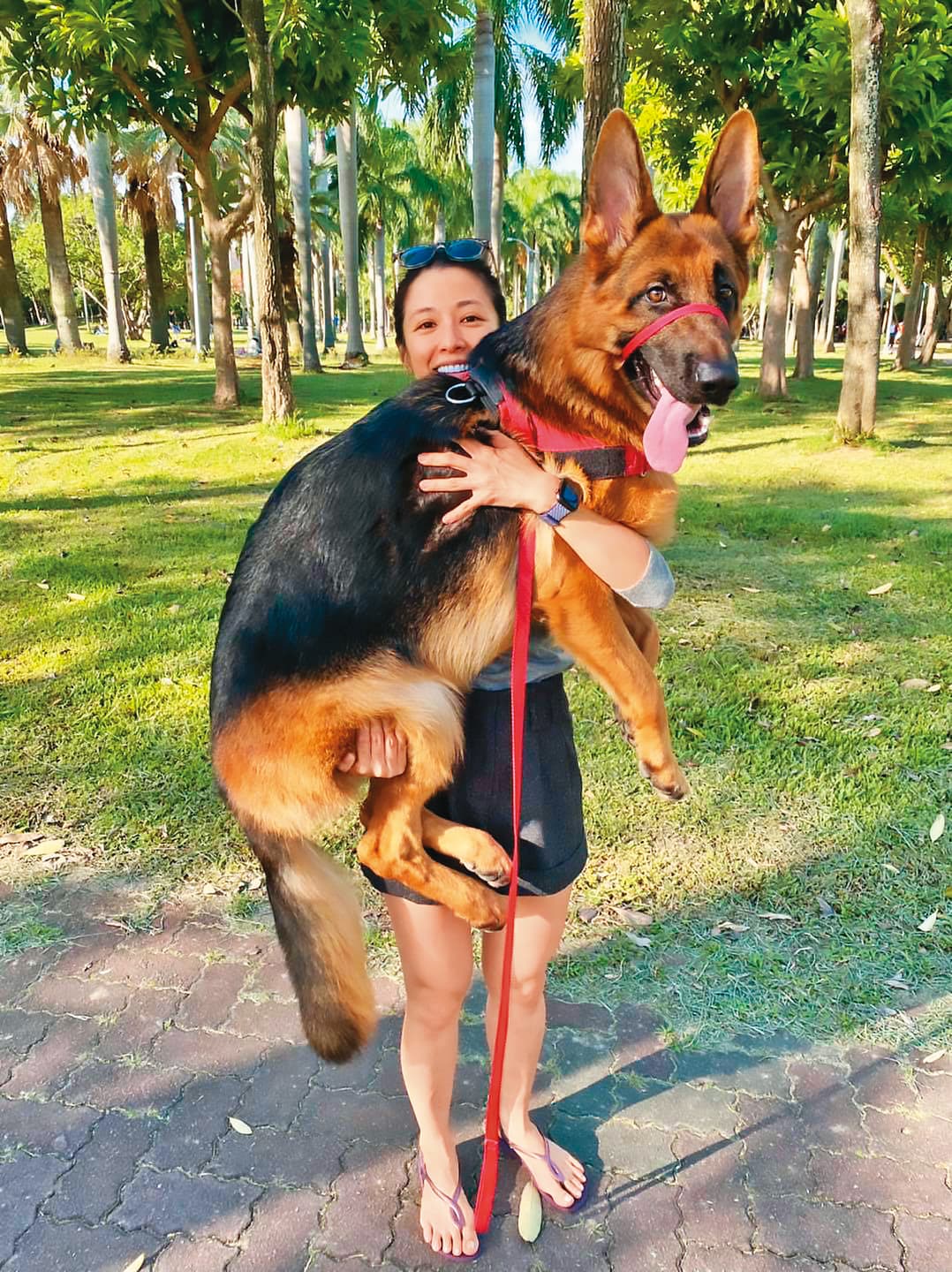 Wolfy已經3歲了,對李蒨蓉的抱抱,牠非常享受。(翻攝自李蒨蓉臉書)