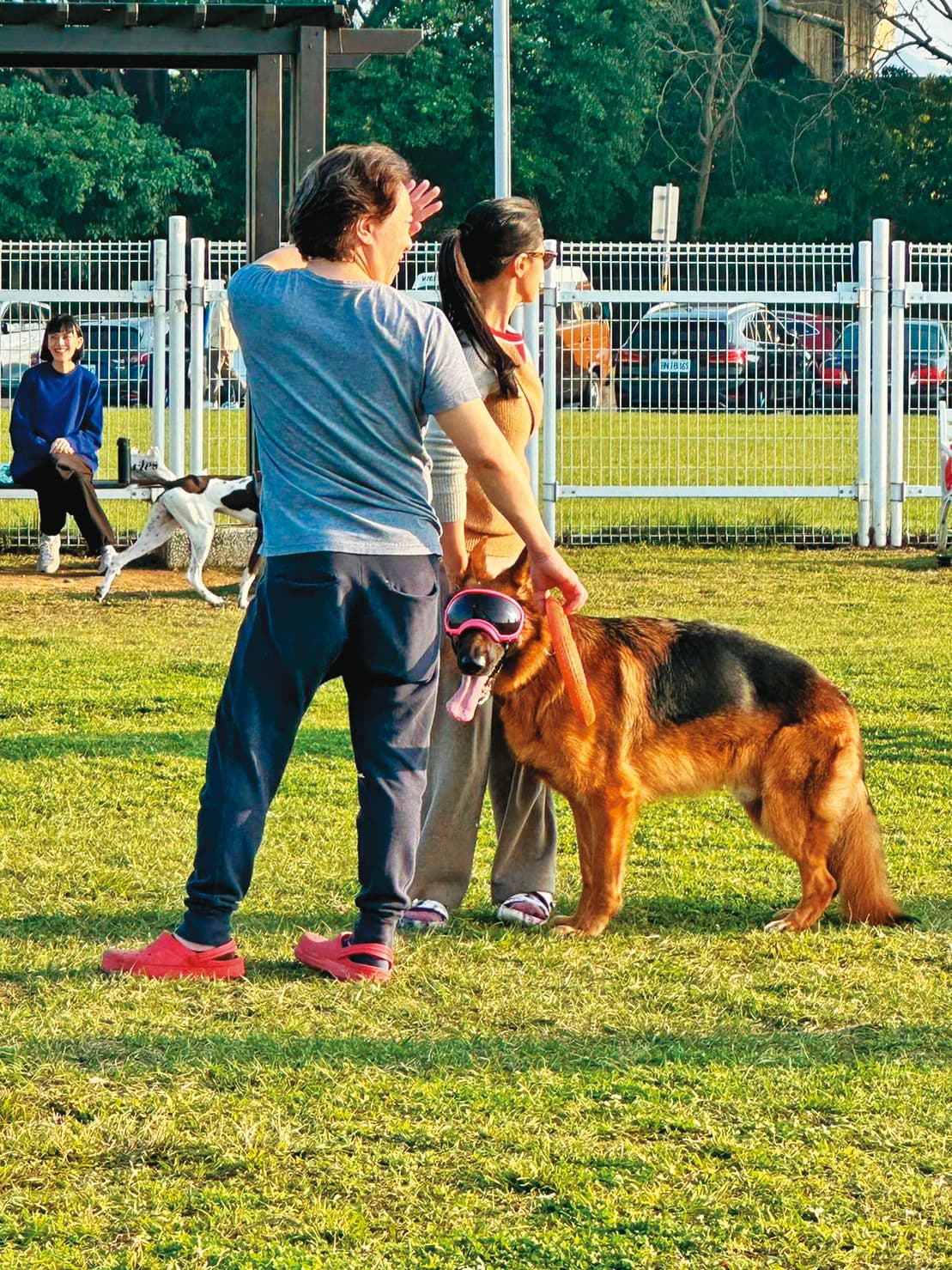 李蒨蓉(左二)跟老公常一同帶Wolfy去狗公園放風,牠護主強烈,看到別的狗狗靠近,會狂叫不已。(讀者提供)