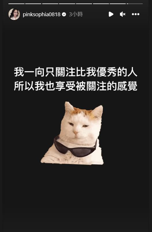 王思佳坦言「享受被關注的感覺」。(翻攝王思佳IG)