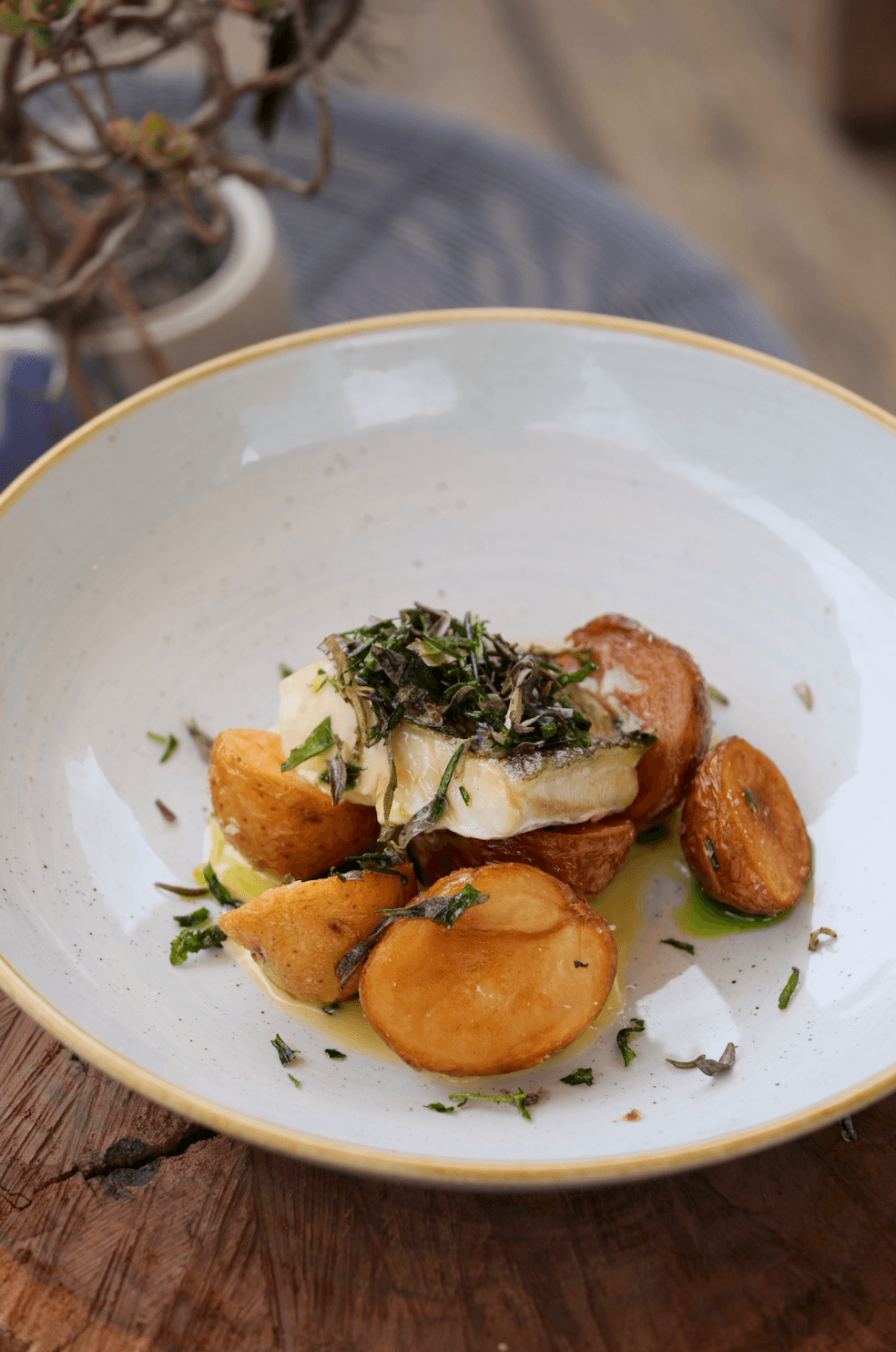 「Market Fish,Beurre Blanc,Dill Oil,Chat Potatoes,Beach Herbs」使用新鮮漁獲，以法式白黃油醬汁、蒔蘿油簡單調味就很美味。（澳幣35元／份，約NT$728）