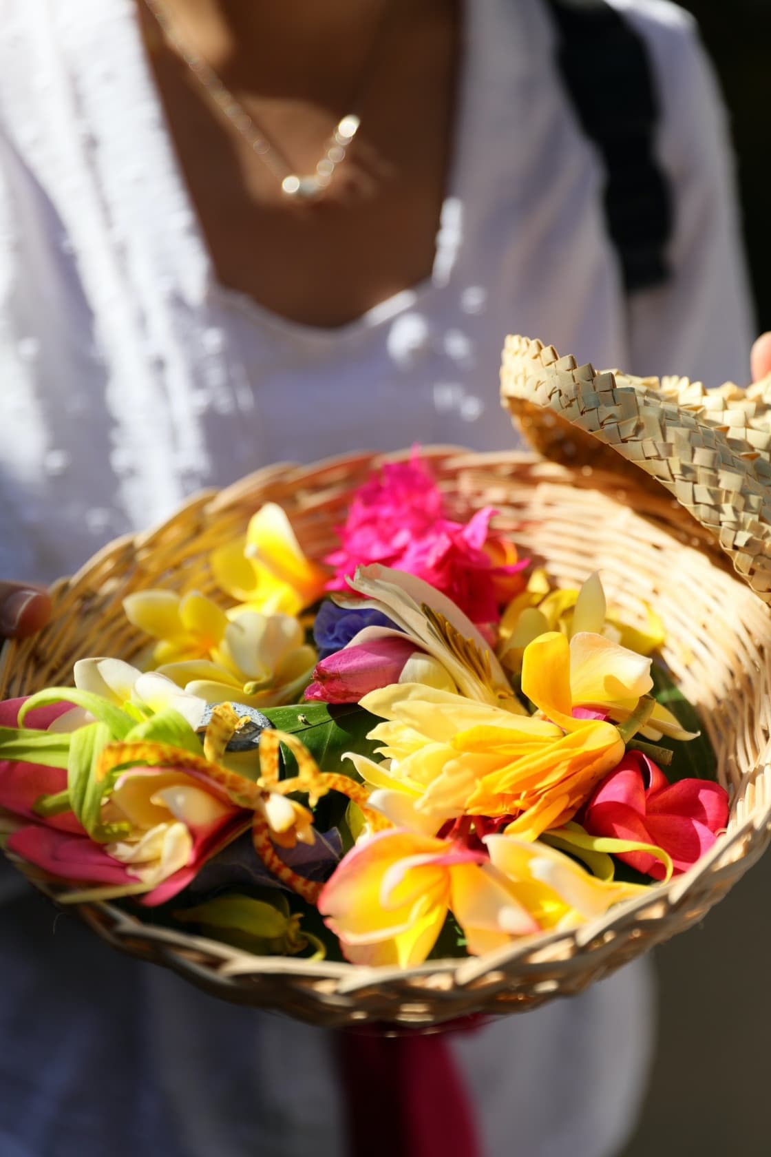 使用已被陽光照耀的鮮花呼喚神,告訴「祂」你的姓名及願望。