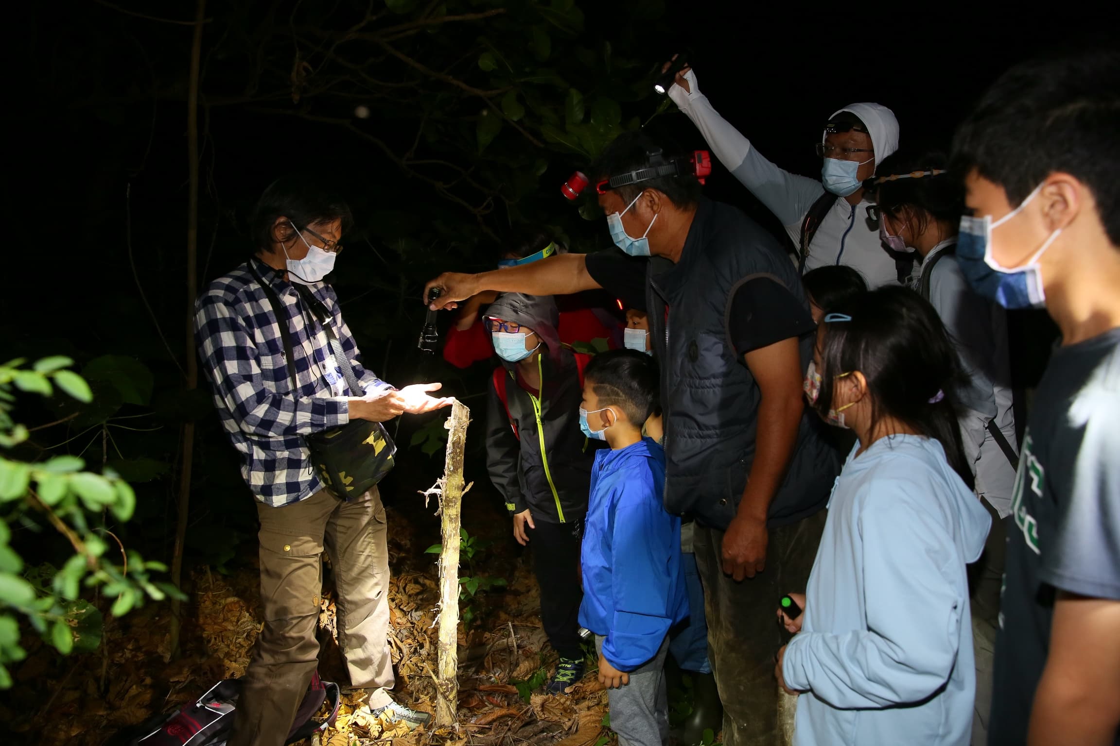 台江處將舉辦外來入侵種亞洲錦蛙防治教育宣導活動。(台江處提供)